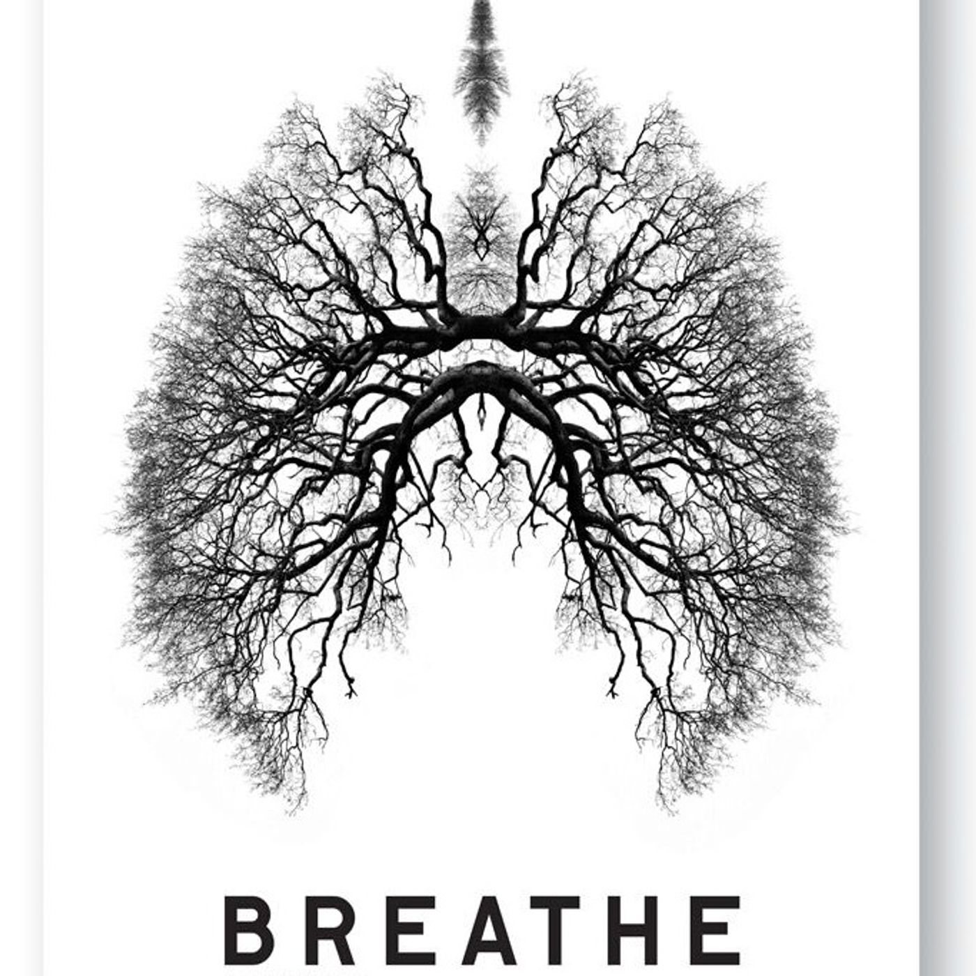 Il Respiro: l'Origine del Vinyasa