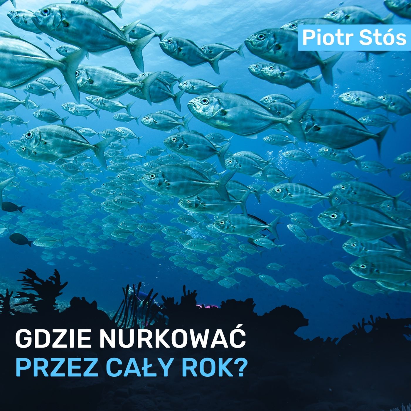 Gdzie nurkować przez cały rok? - Piotr Stós episode artwork