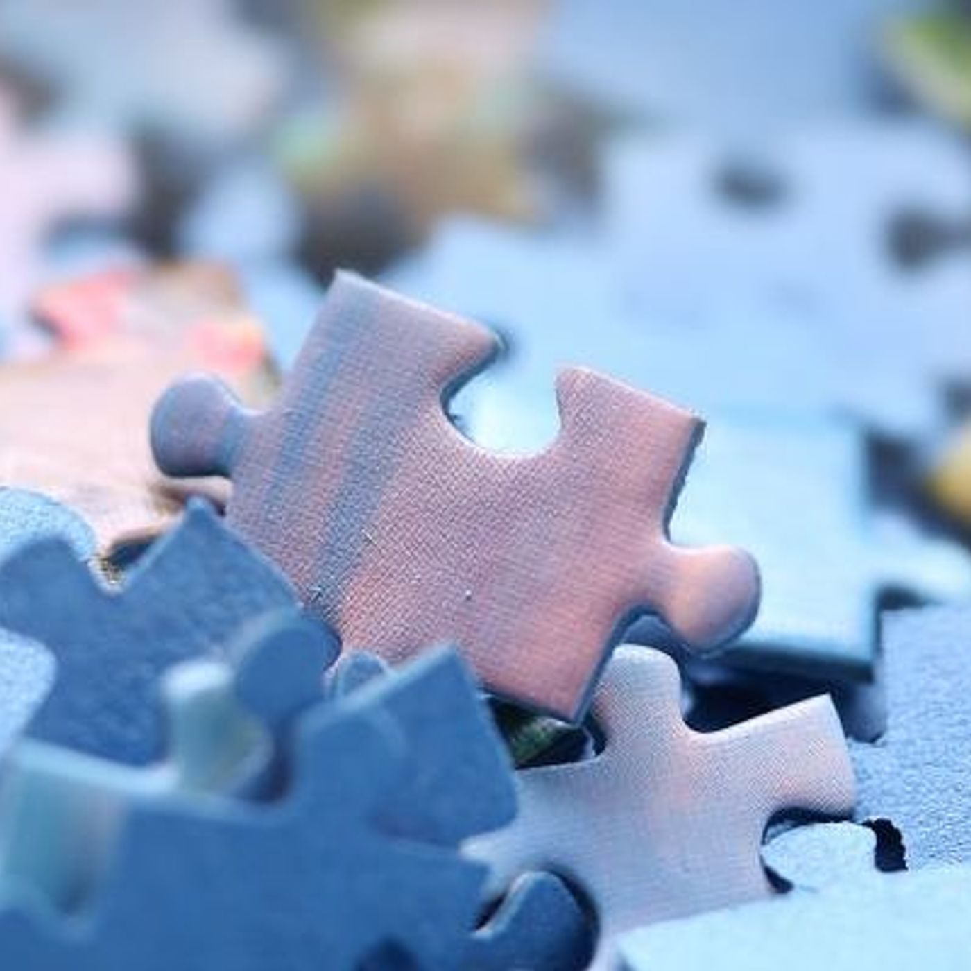 Puzzle race program set for Jan. 29 in DeKalb episode artwork