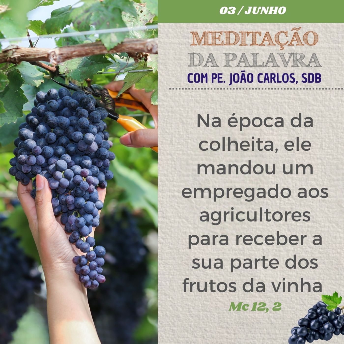 03 de junho DE 2024 - Meditação da Palavra do Senhor