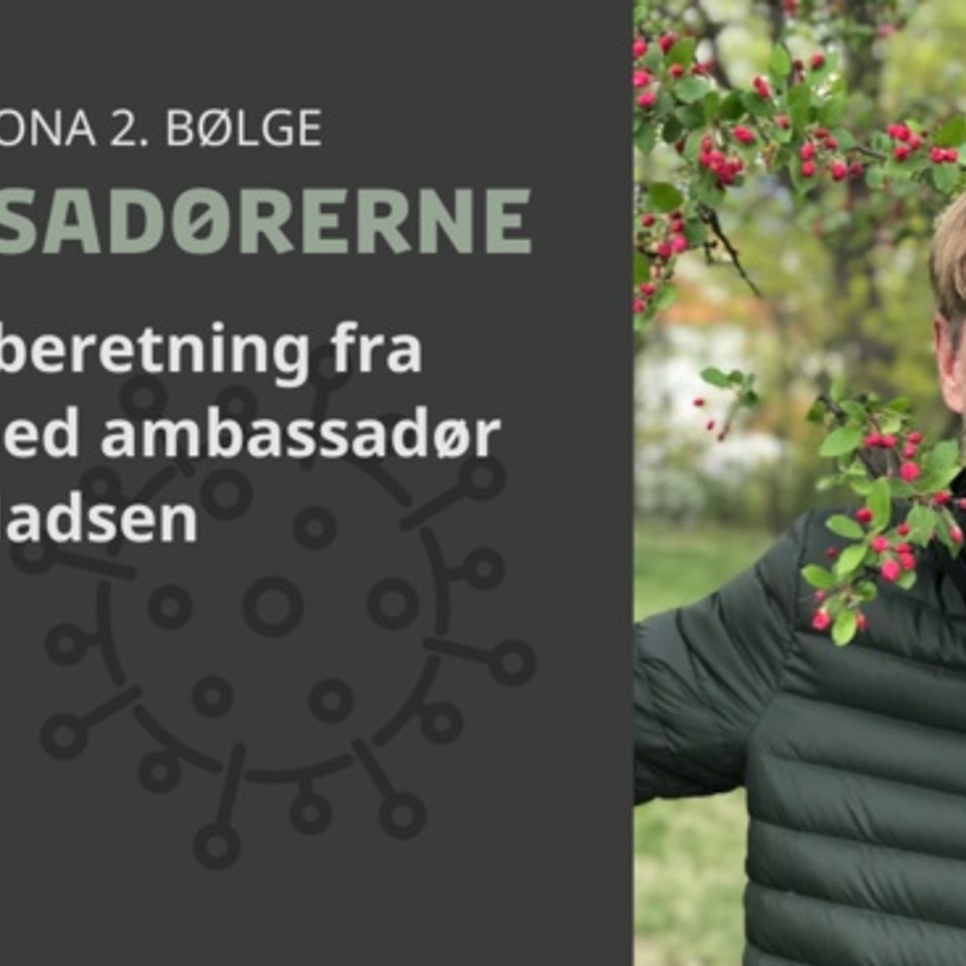 Ambassadørerne