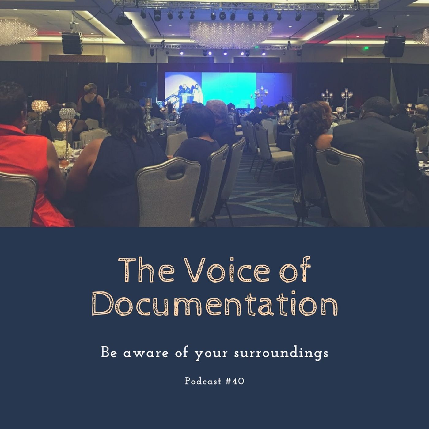 The Voice Of Documentation