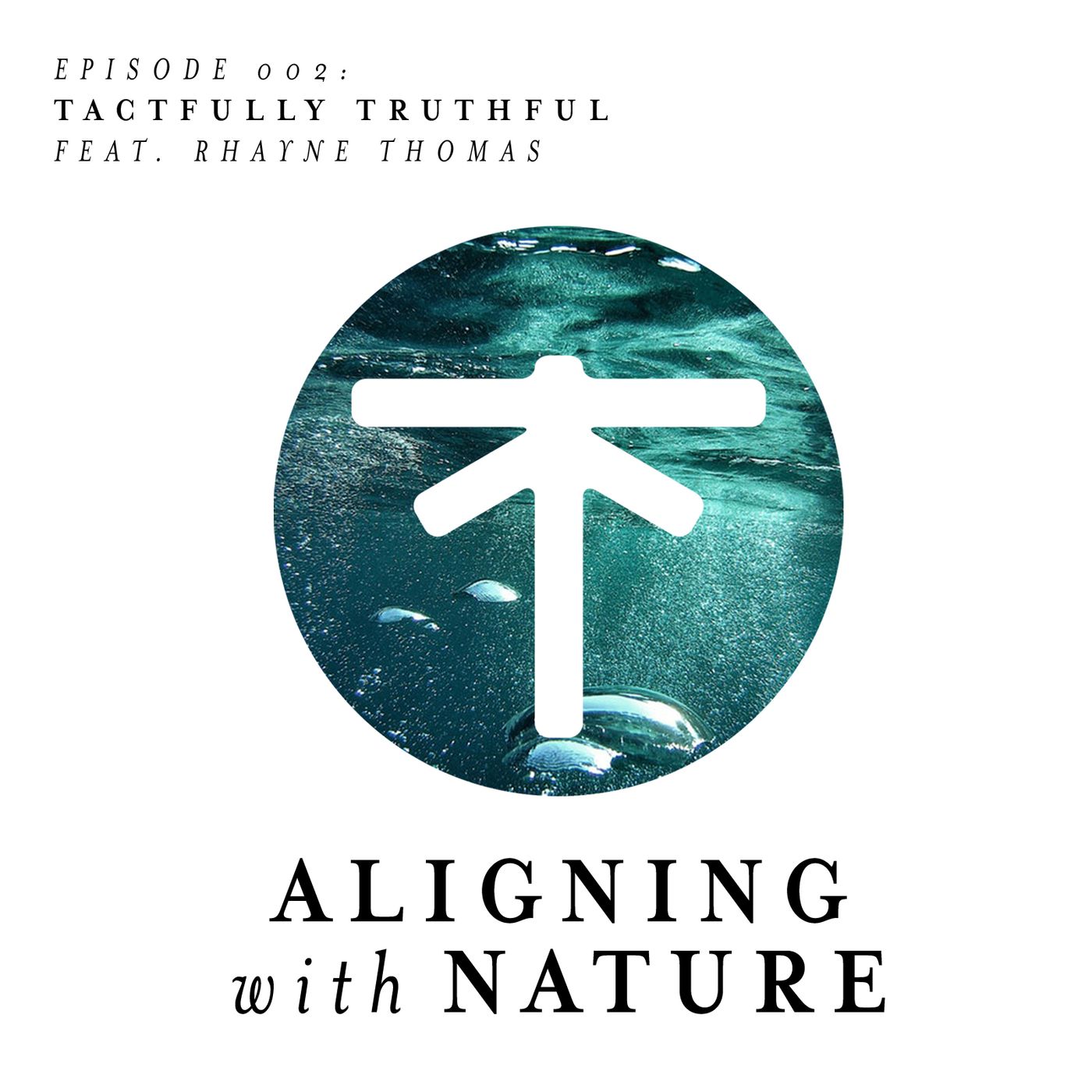 Episode 0002 - Tactfully Truthful episode artwork