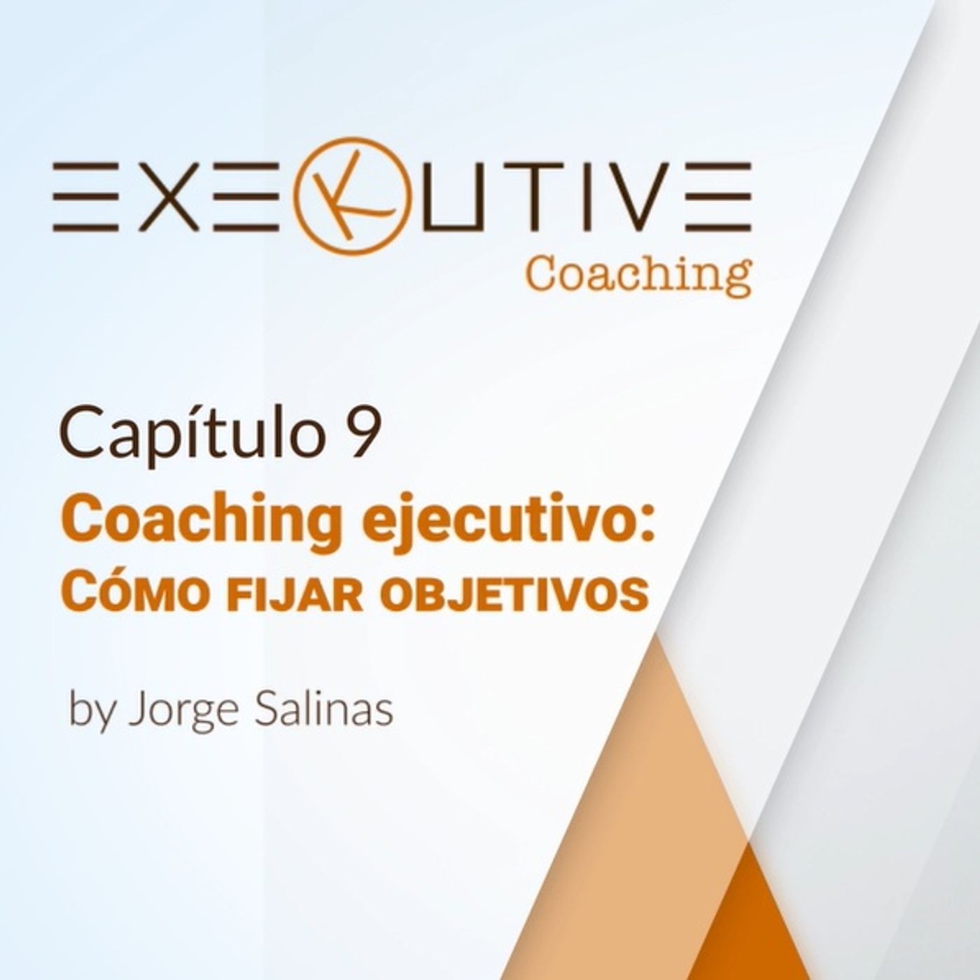 Los básicos del coaching ejecutivo
