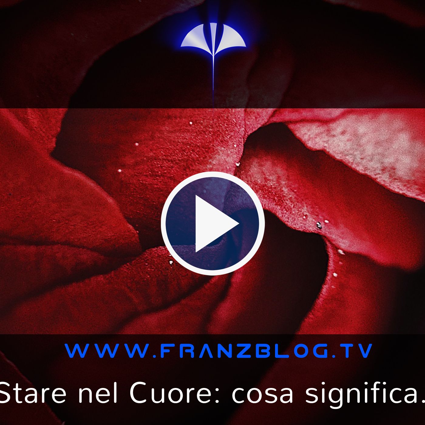 Franz\'s Blog