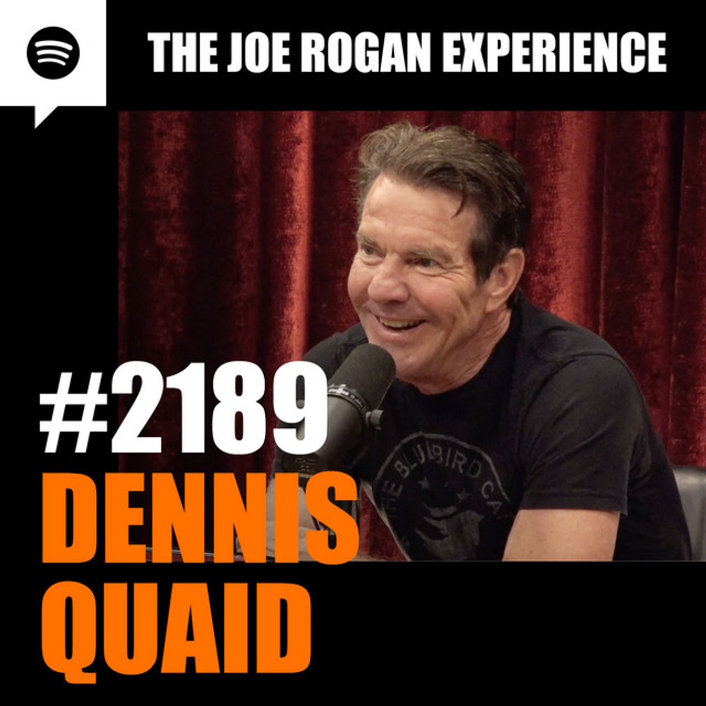 Joe Rogan Experience _2189 - Dennis Quaid(M4A_128K)