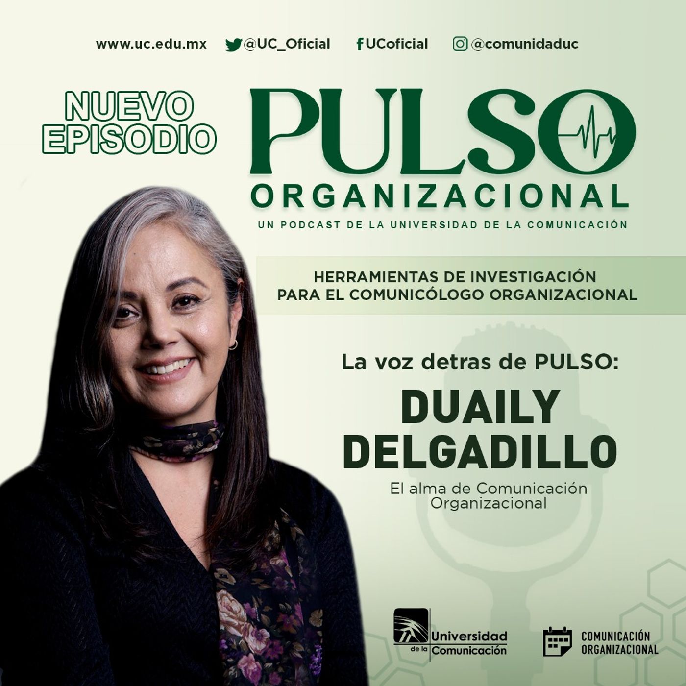 Pulso Organizacional
