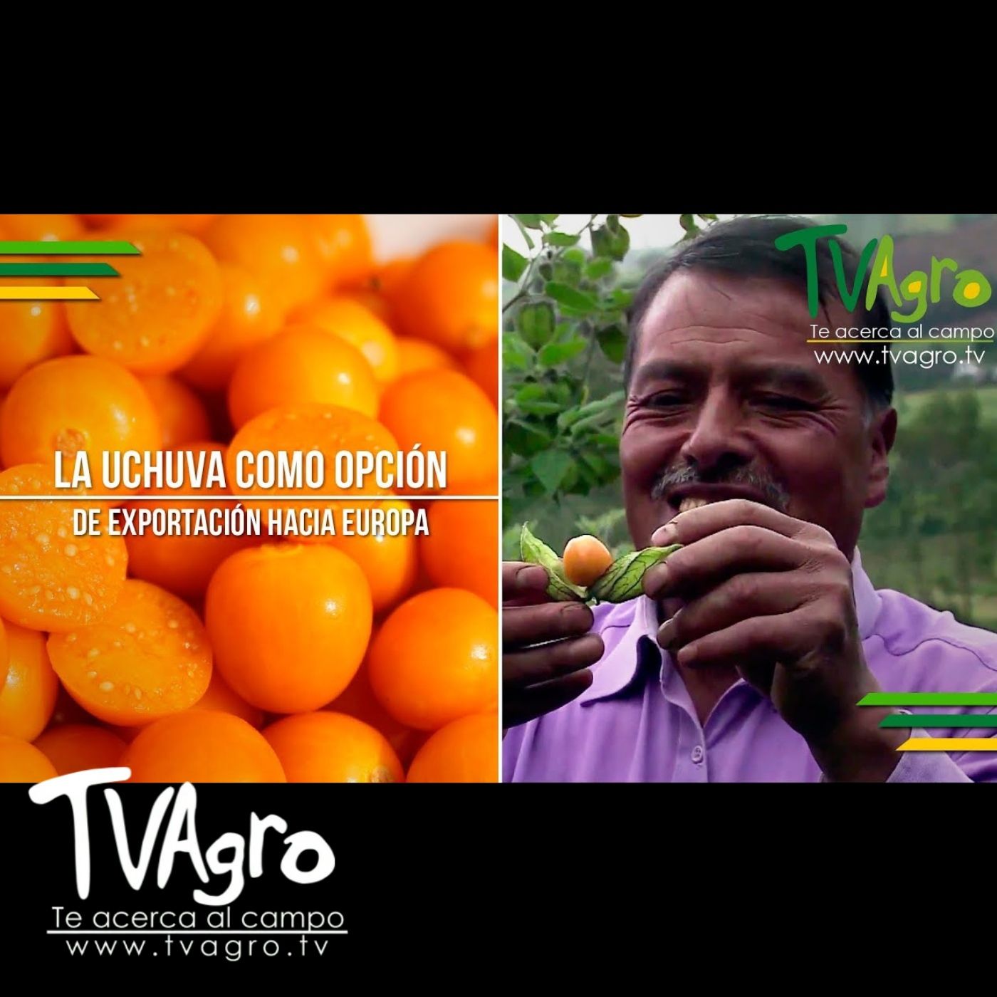 TV AGRO