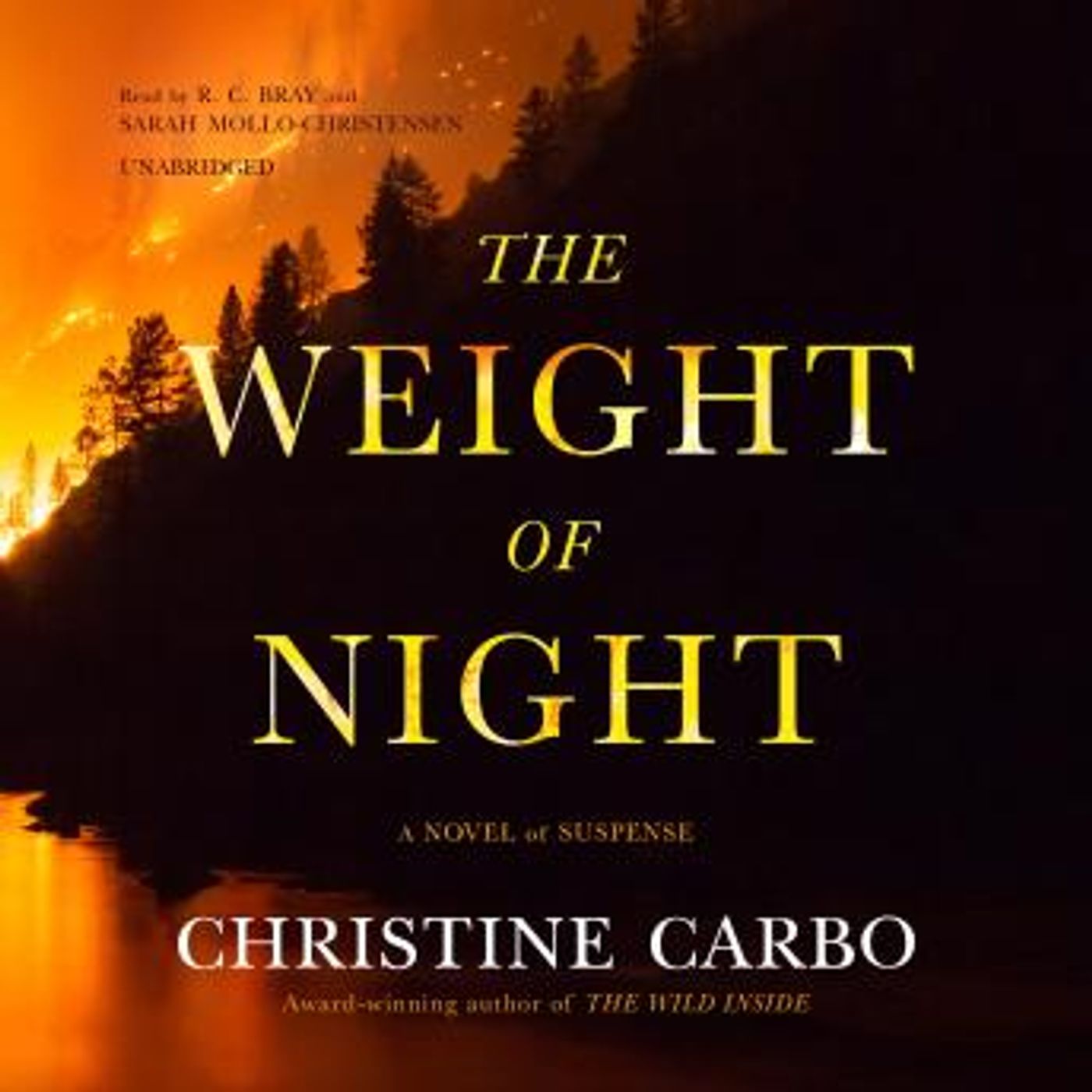 Top Full Audiobooks in Mystery, Thriller & Horror, Police & Detective