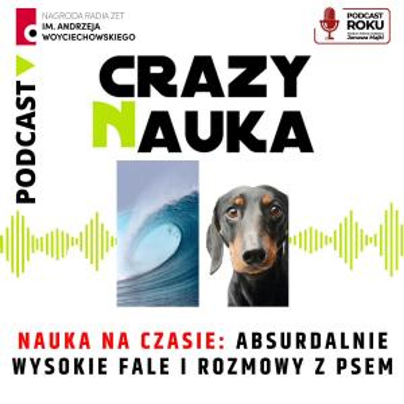 114. Nauka na czasie: absurdalnie wysokie fale i rozmowy z psem