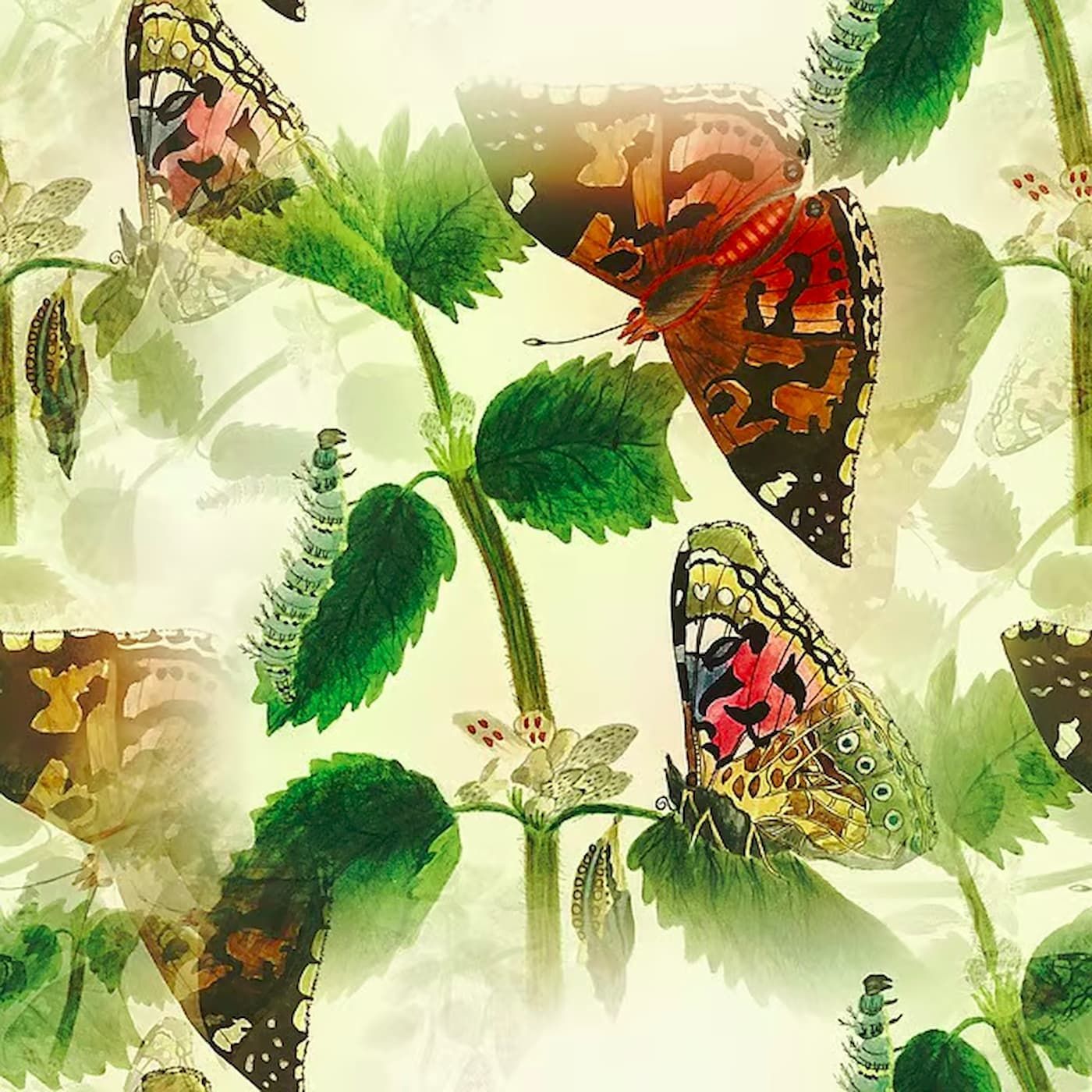 Baby Caterpillar | Animal Stories episode artwork