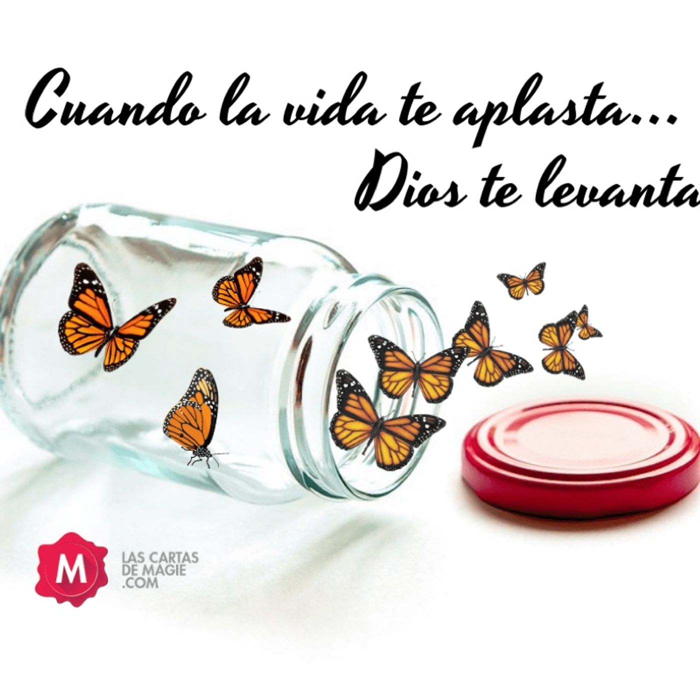 Terapia Restauradora Y Salud Emocional