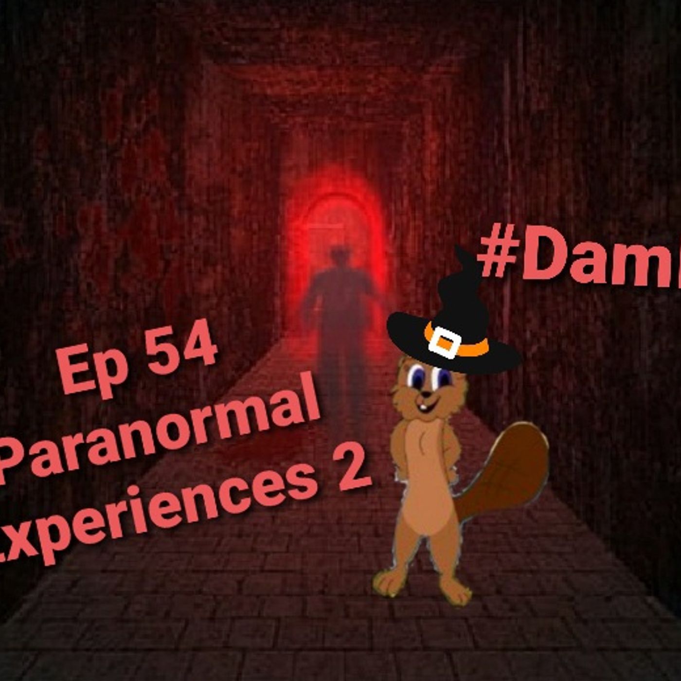 Damit With Beaver