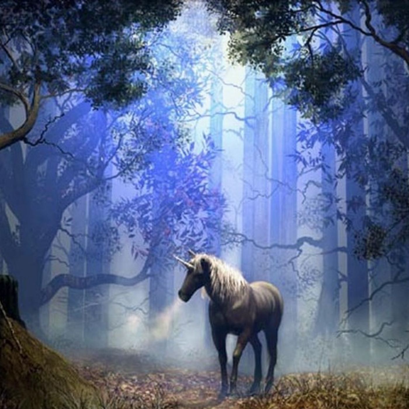 Bosc encantat episode artwork
