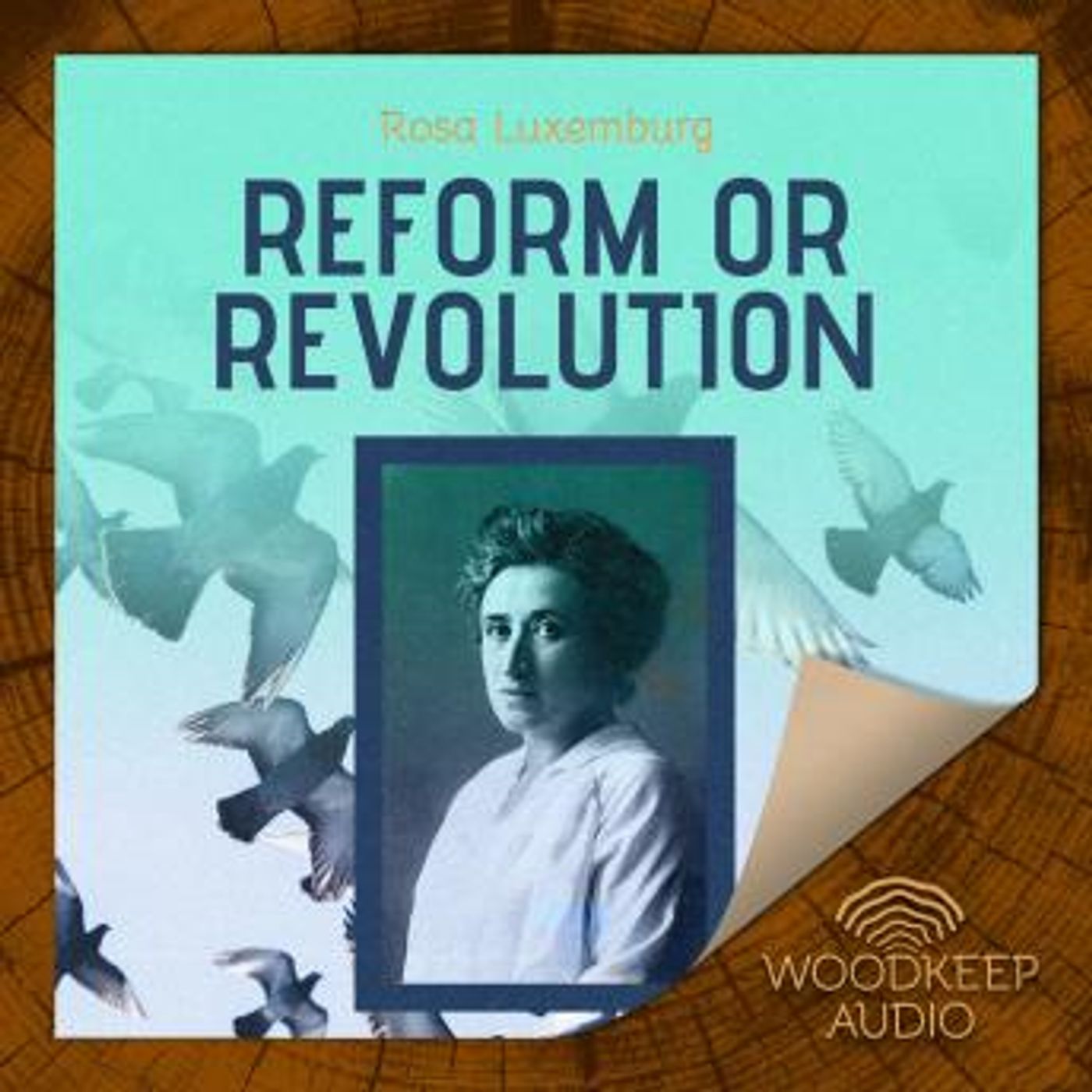 Access Unmissable  Audiobooks in Non-Fiction, Current Affairs, Law, & Politics