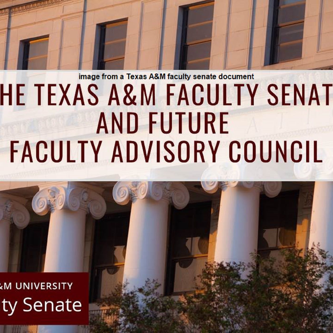Delay in the formation of Texas A&M's new faculty advisory council episode artwork