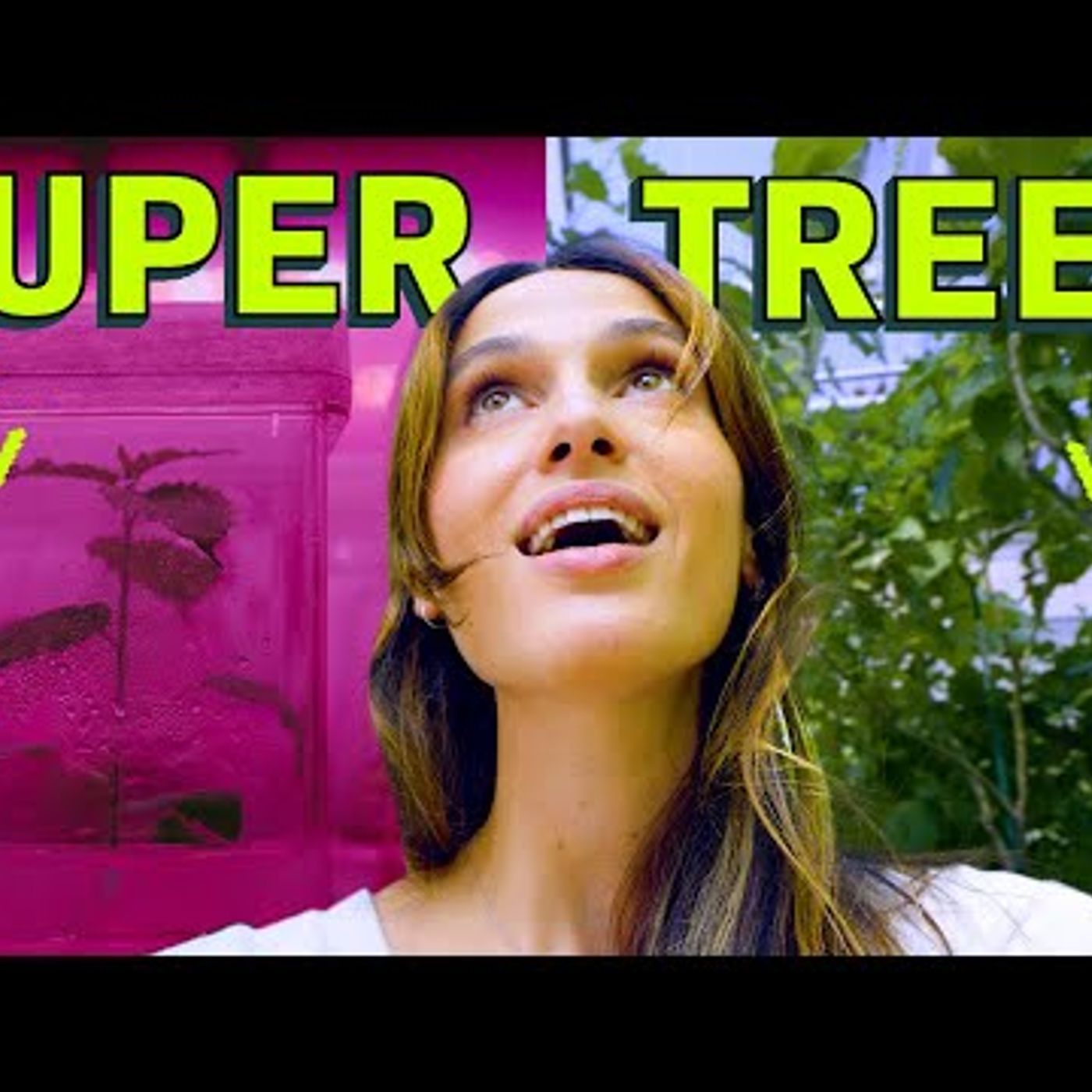 Huge If True - Cleo Abram