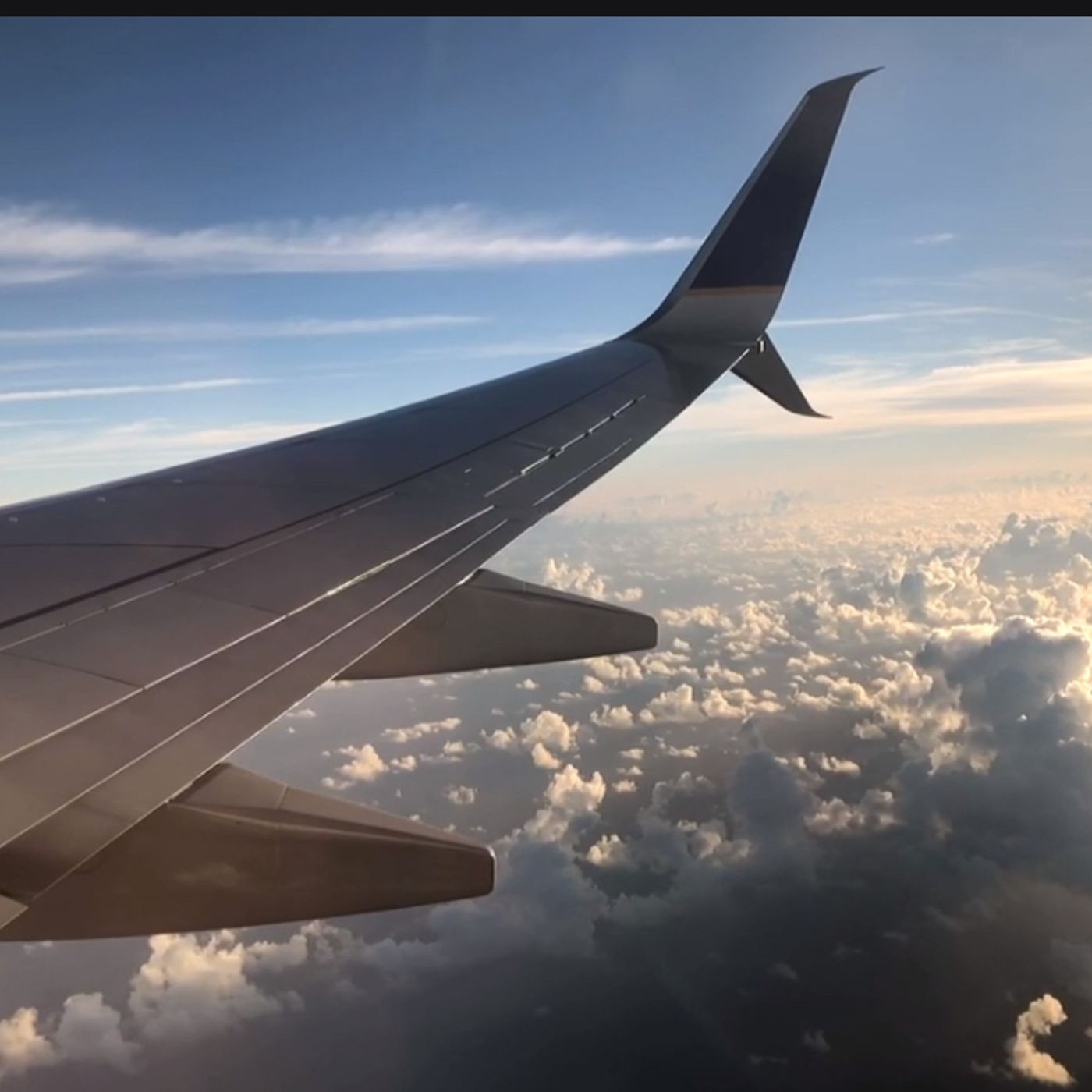 S60E6: What Is The Percentage Of The Population Of The Whole World That's Never Flown