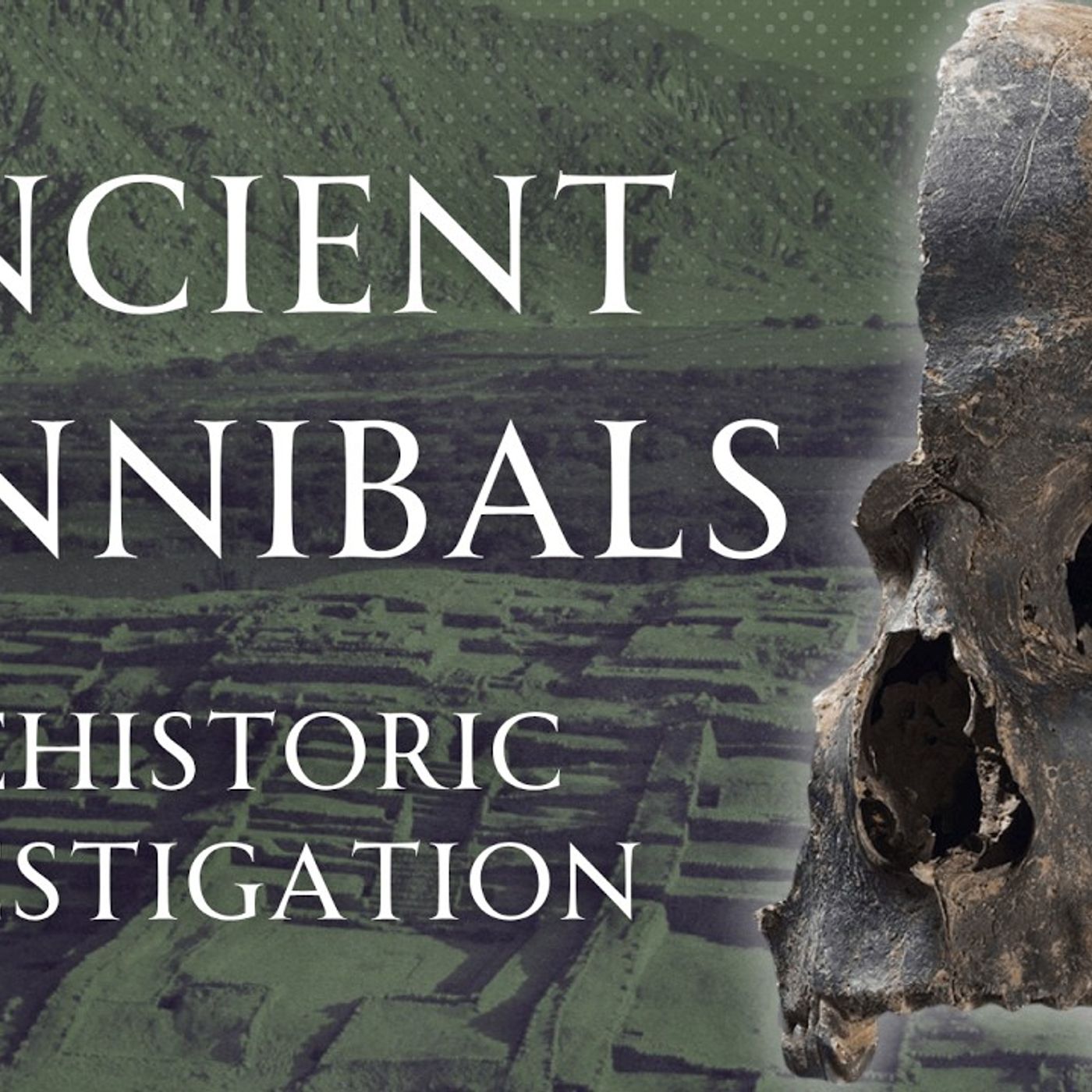 Prehistoric Cannibalism was Disturbingly Common Human Voiced episode artwork