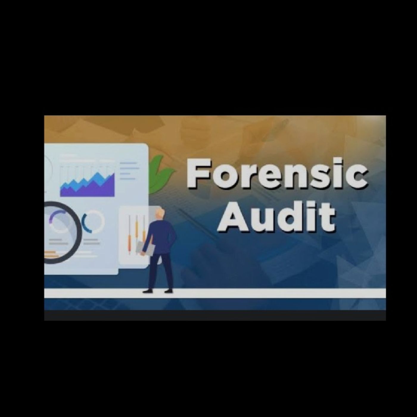 T.A.29. Forensic Auditing episode artwork