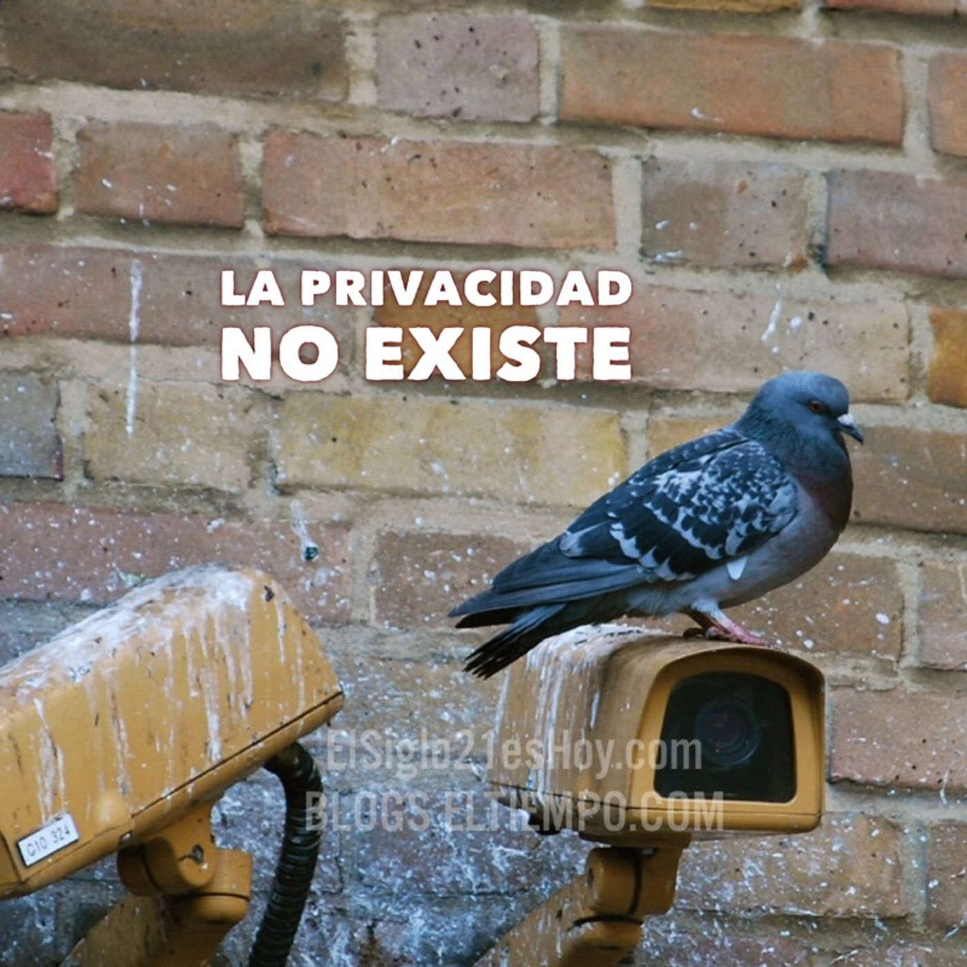 La privacidad no existe