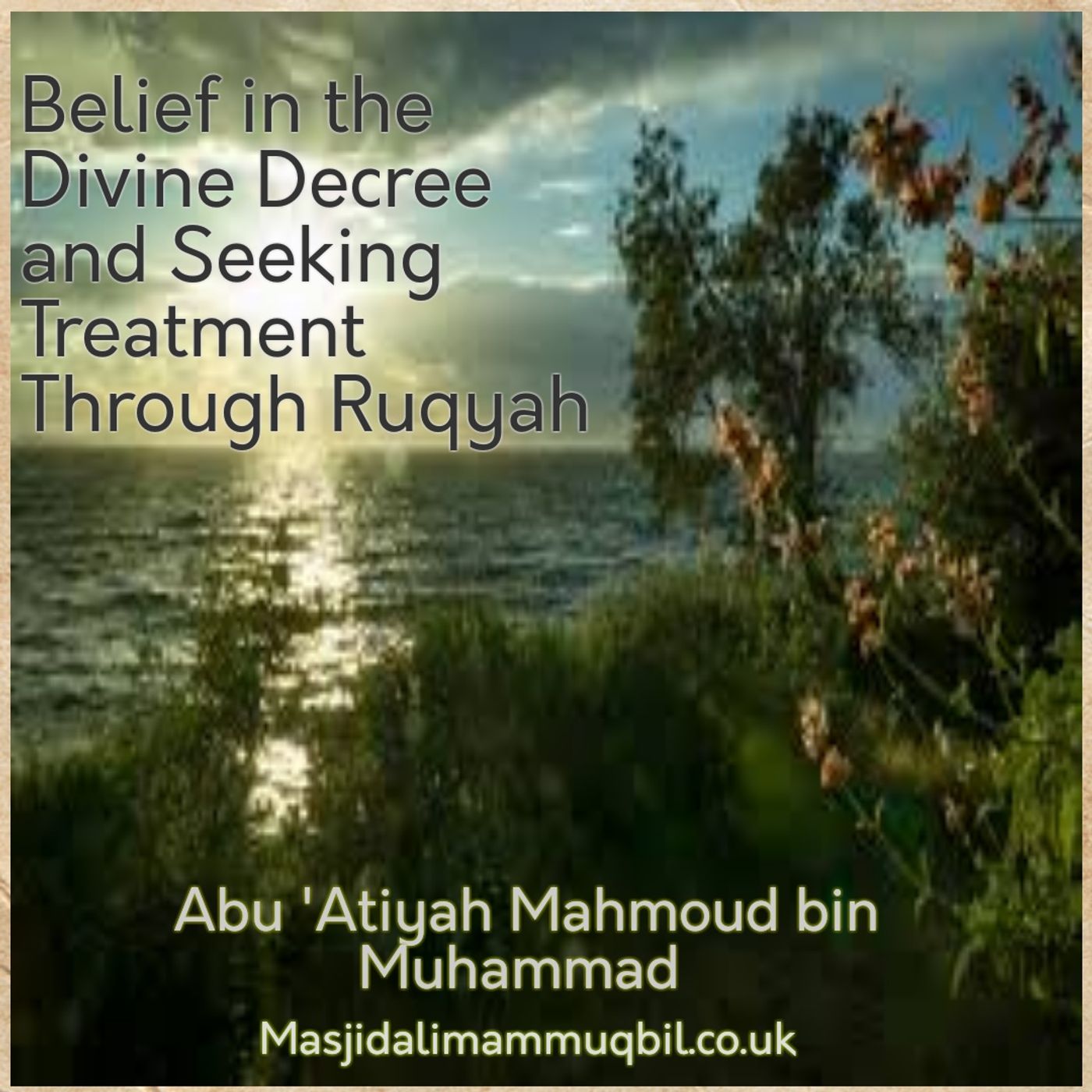 Belief in the Divine Decree and Seeking Treatment Through Ruqyah | Abu 'Atiyah Mahmoud bin Muhammad episode artwork