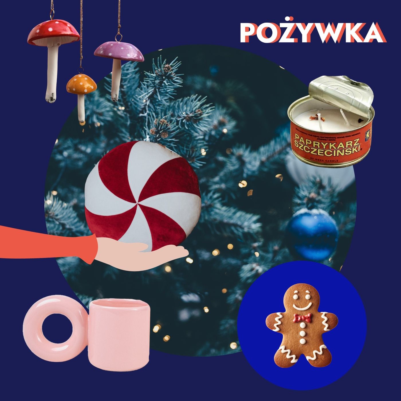 Pożywka