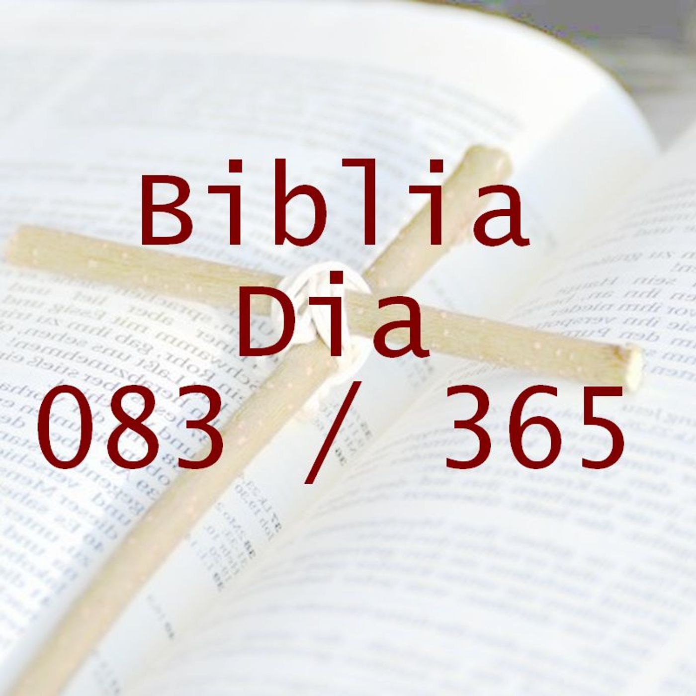 La Biblia en 365 dias
