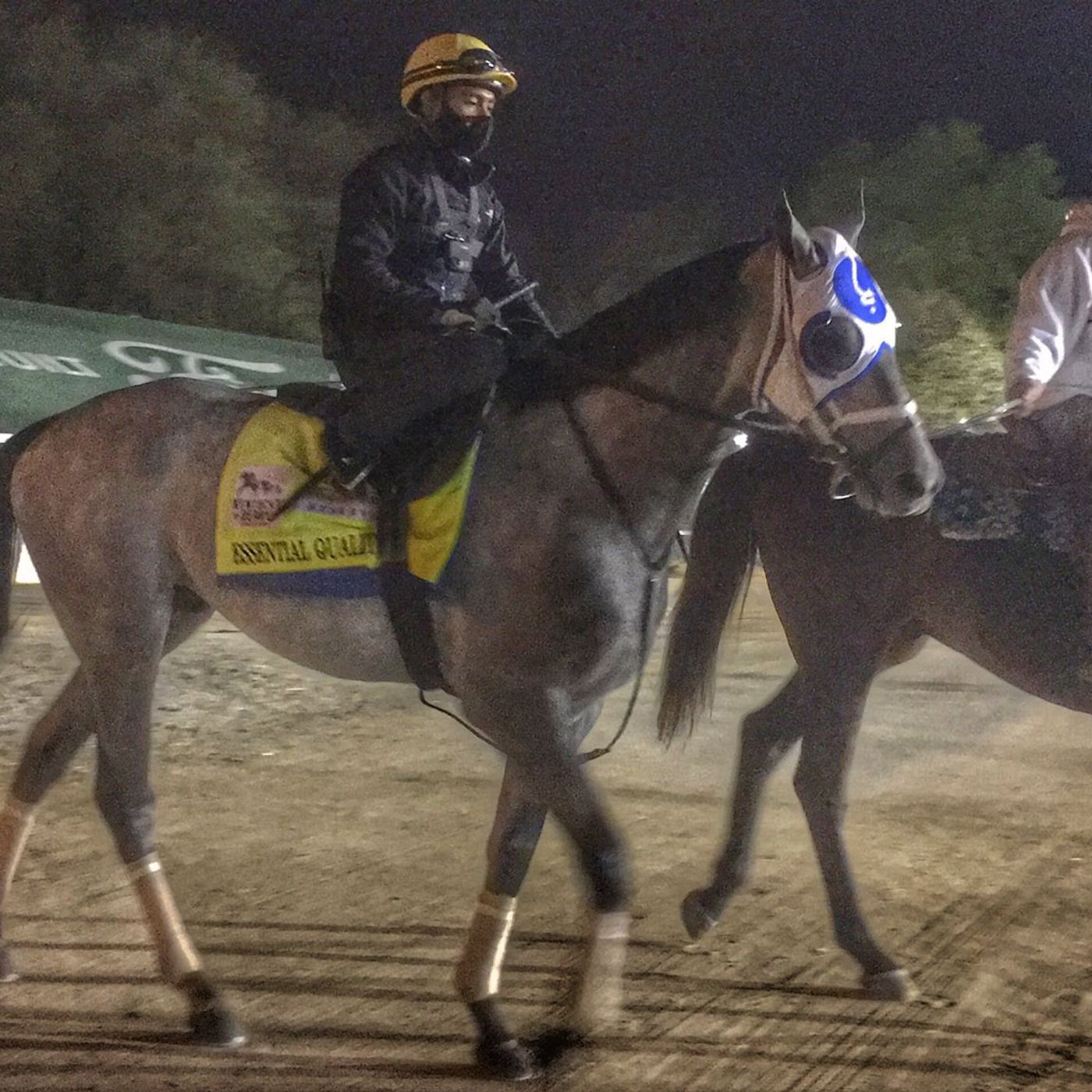 Kentucky Derby 147 preps continue episode artwork