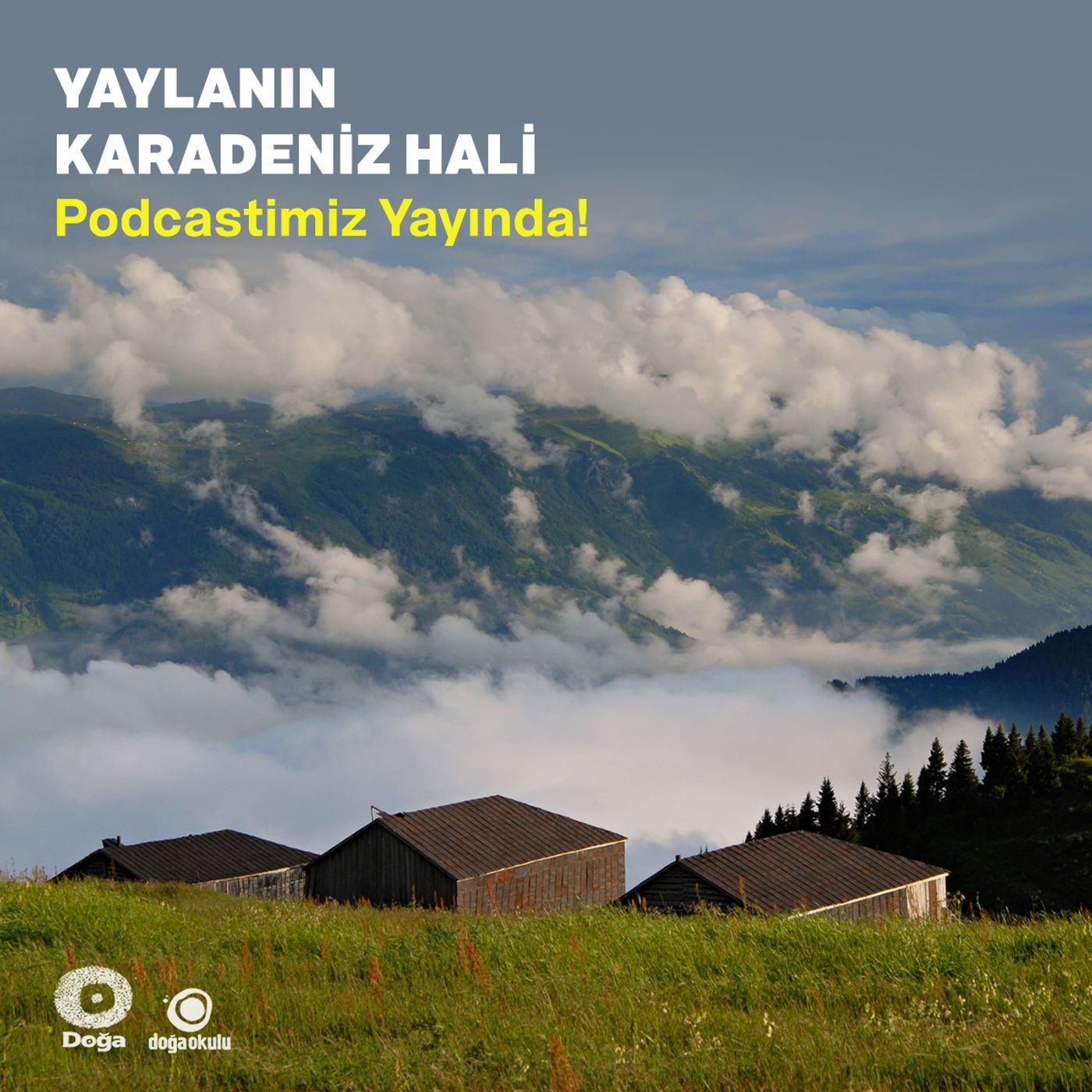 Yaylanın Karadeniz Hali episode artwork