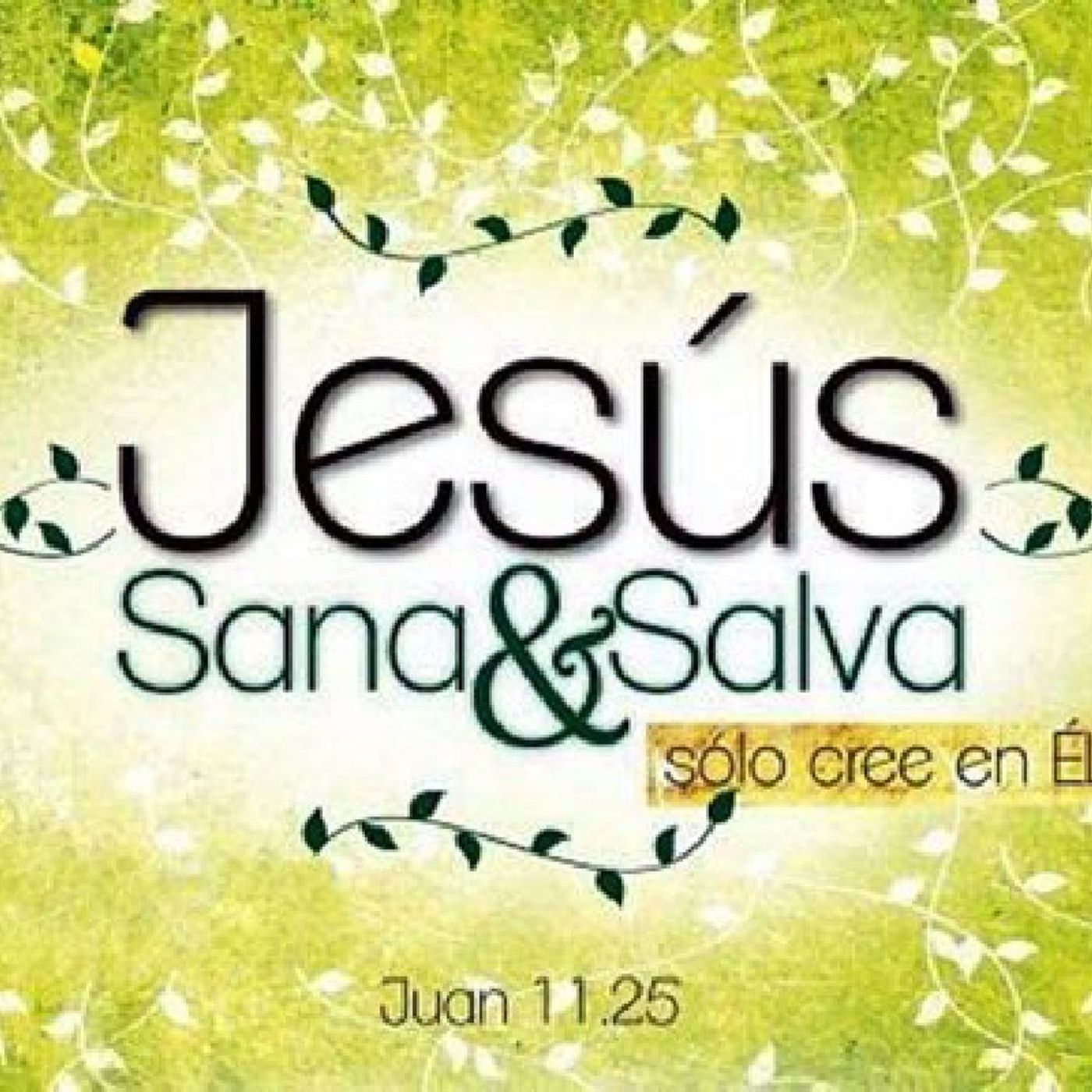 La Reflexión del Día "Dejémonos tocar, sanar y salvar por Jesús" episode artwork