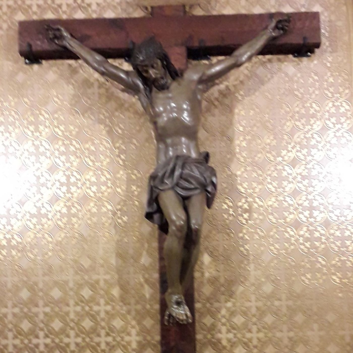Meditaciones Y Homilías