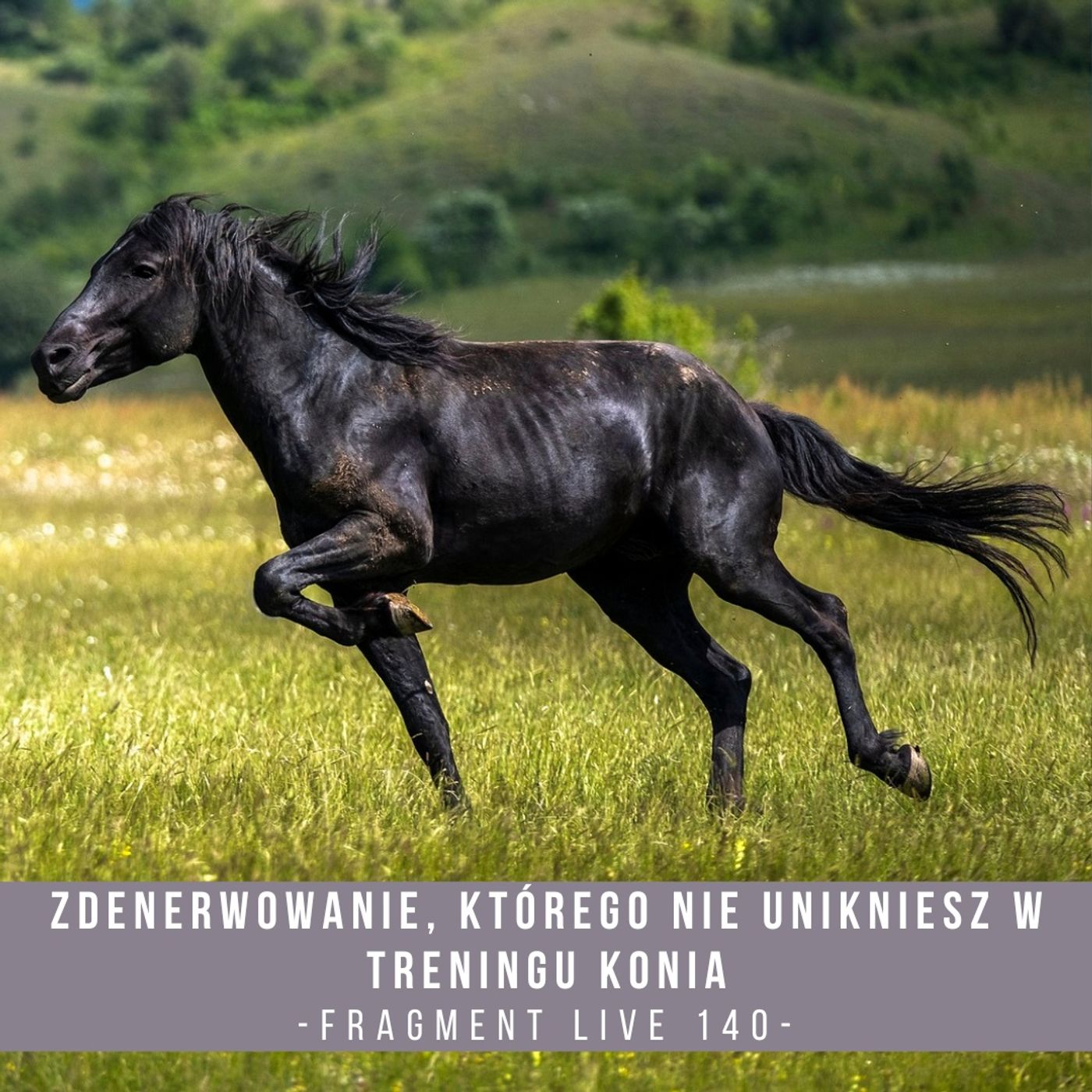 Zdenerwowanie, którego nie unikniesz w treningu konia - fragment live 140 episode artwork