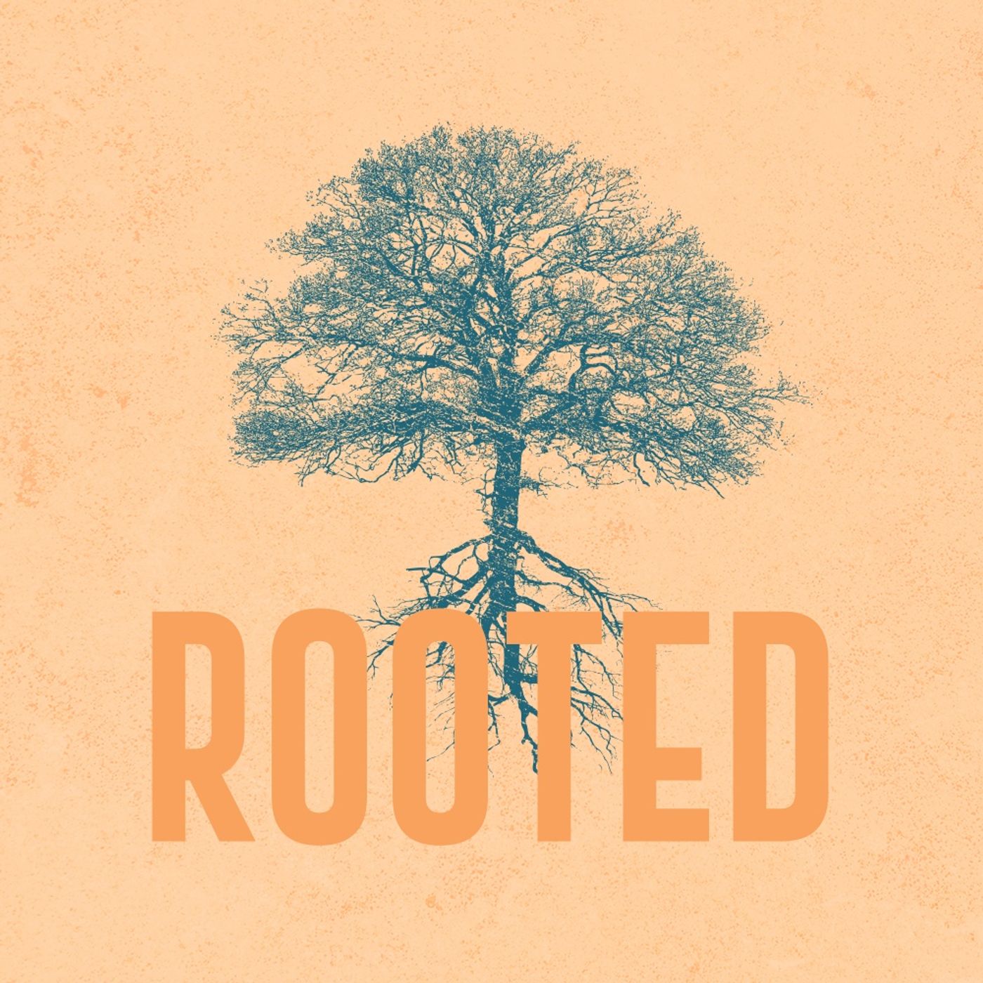 Father\'s House Church Sermon of the Week