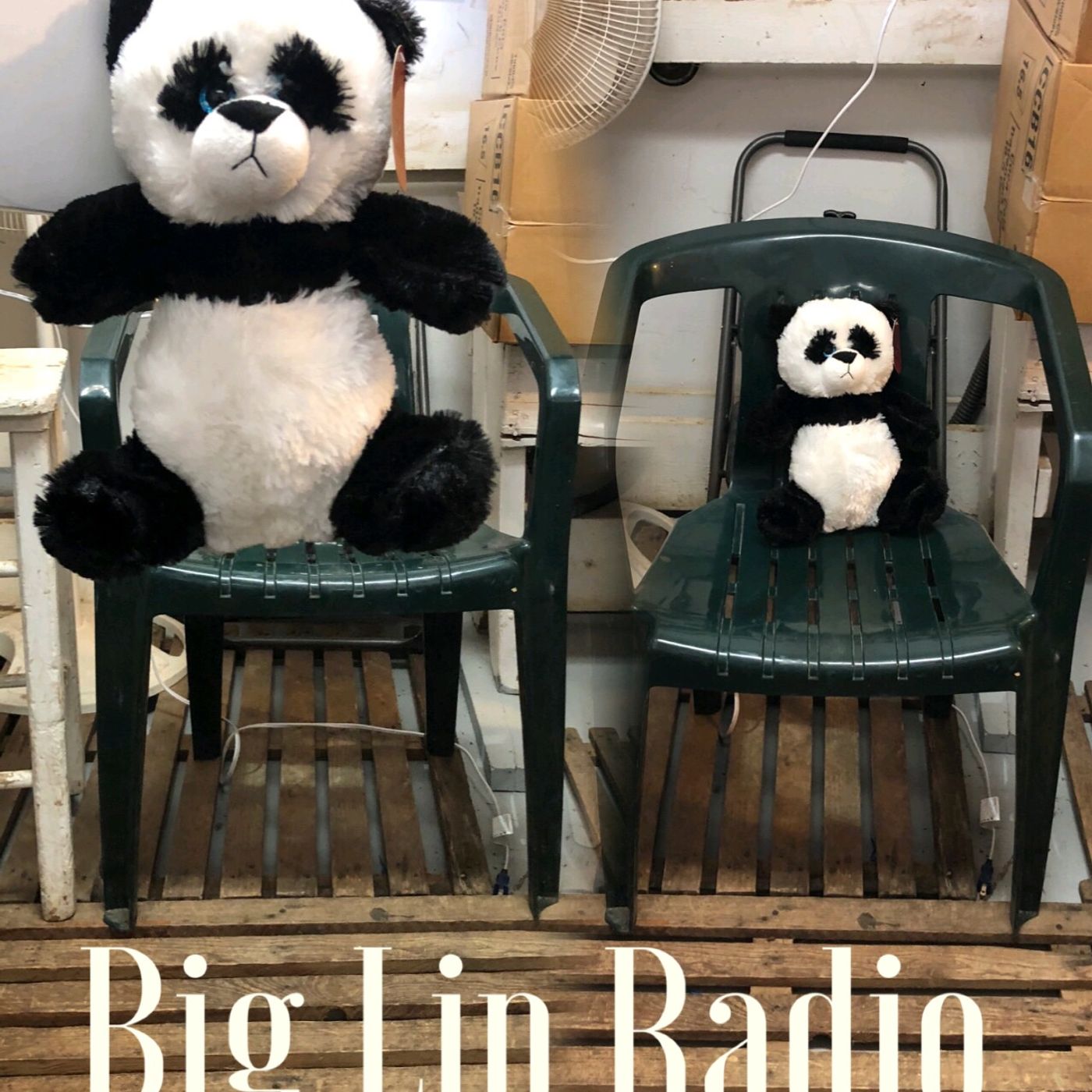 The Seventeenth New Big Lip Radio Podcast episode artwork