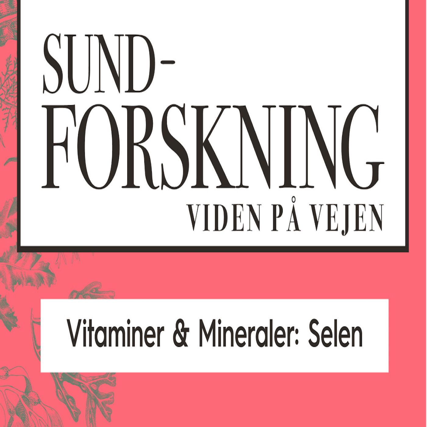 Vitaminer & Mineraler: Selen episode artwork