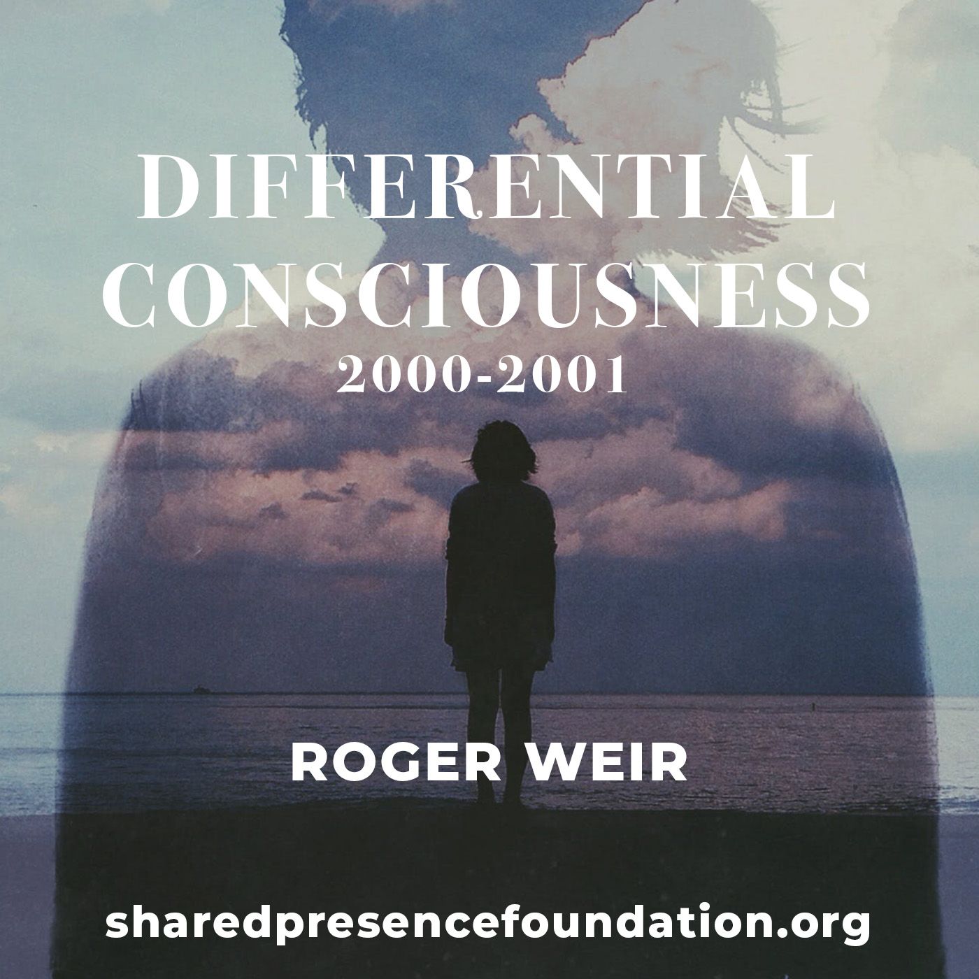 Differential Consciousness (2000-2001)