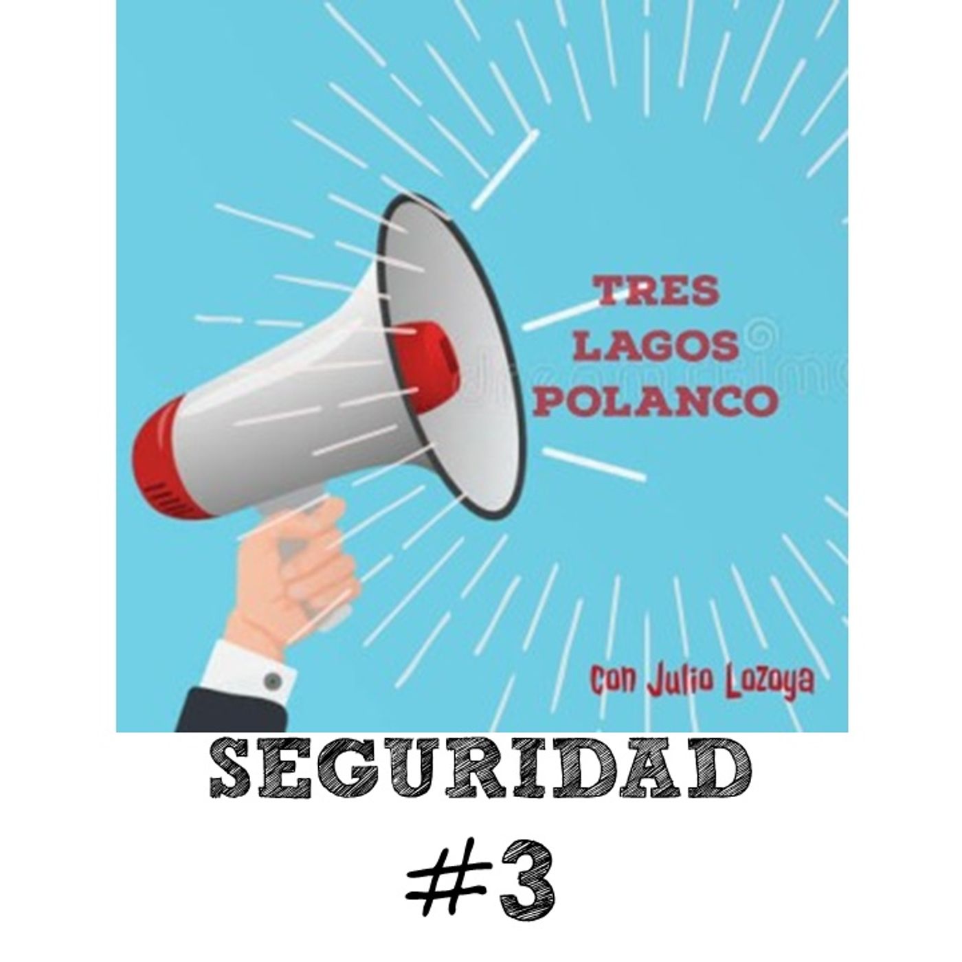 DIÁLOGOS POR LA SEGURIDAD Programa #3
