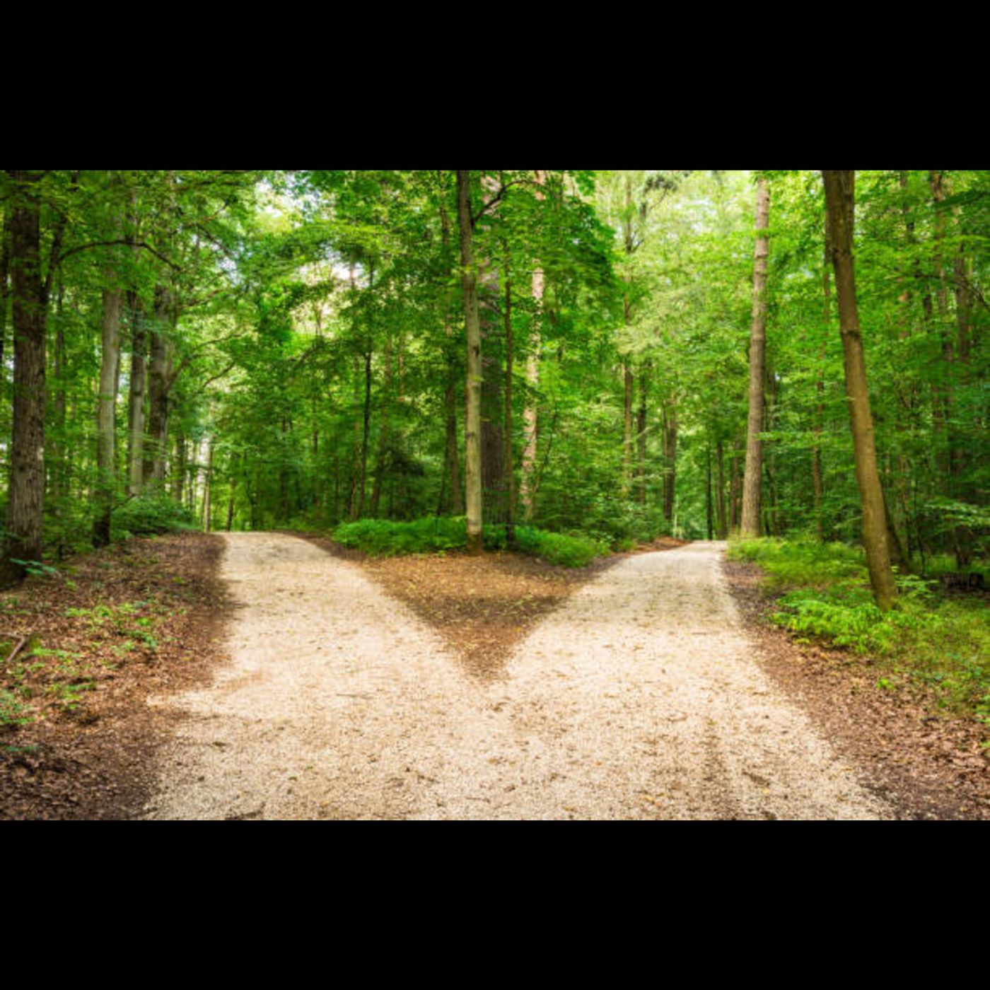 Good Quotes to Guide You On Your Journey