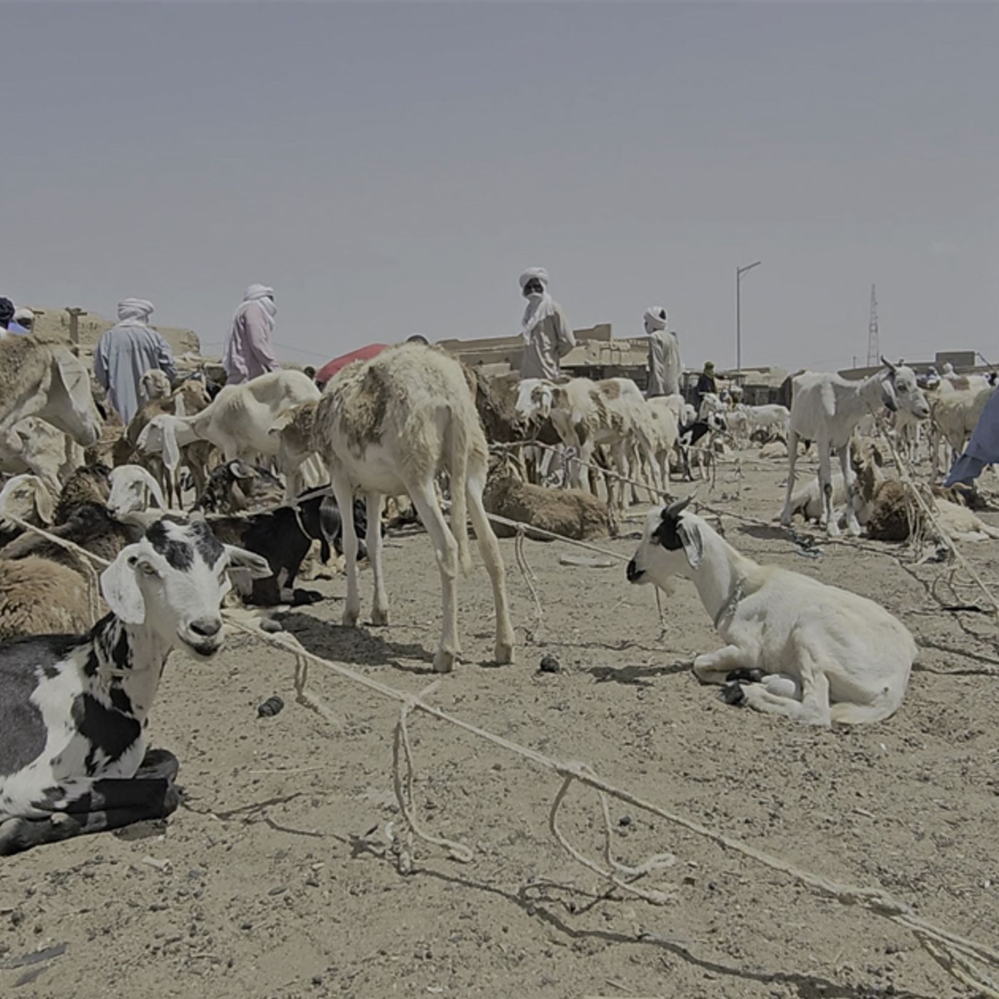 Studio Kalangou (fulfulde)
