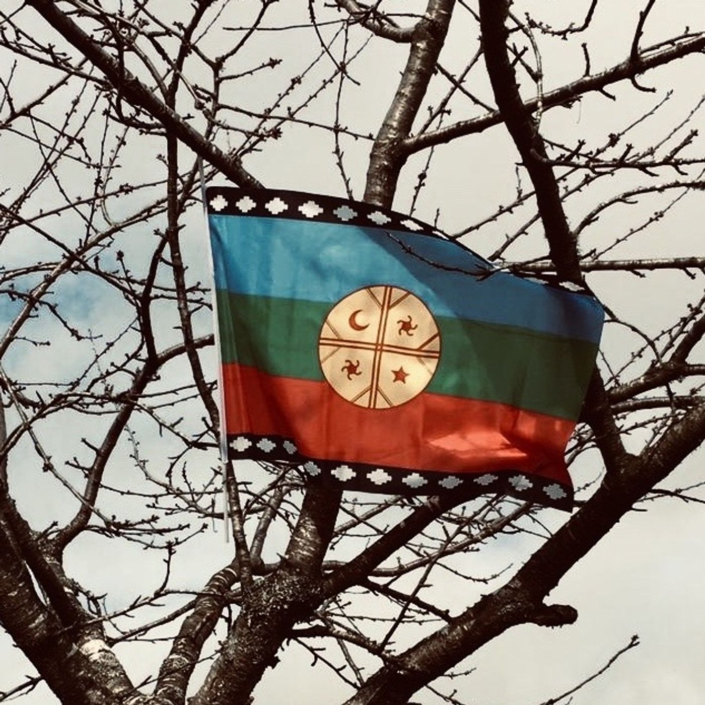 Storia del popolo Mapuche