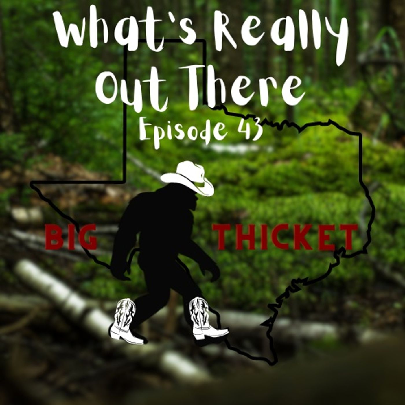 Big Thicket episode artwork