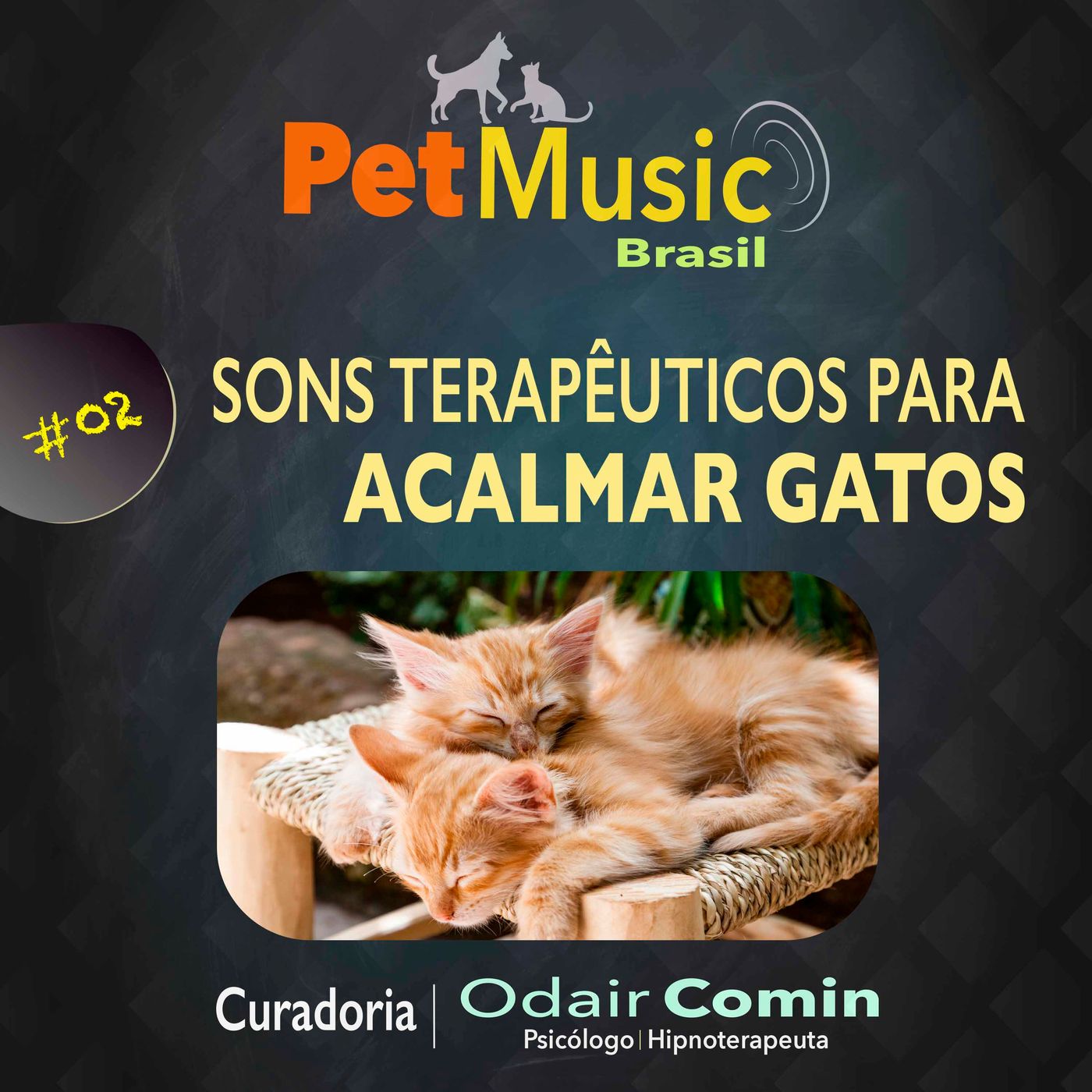 #02 Sons Terapêuticos para Acalmar Gatos | PetMusic