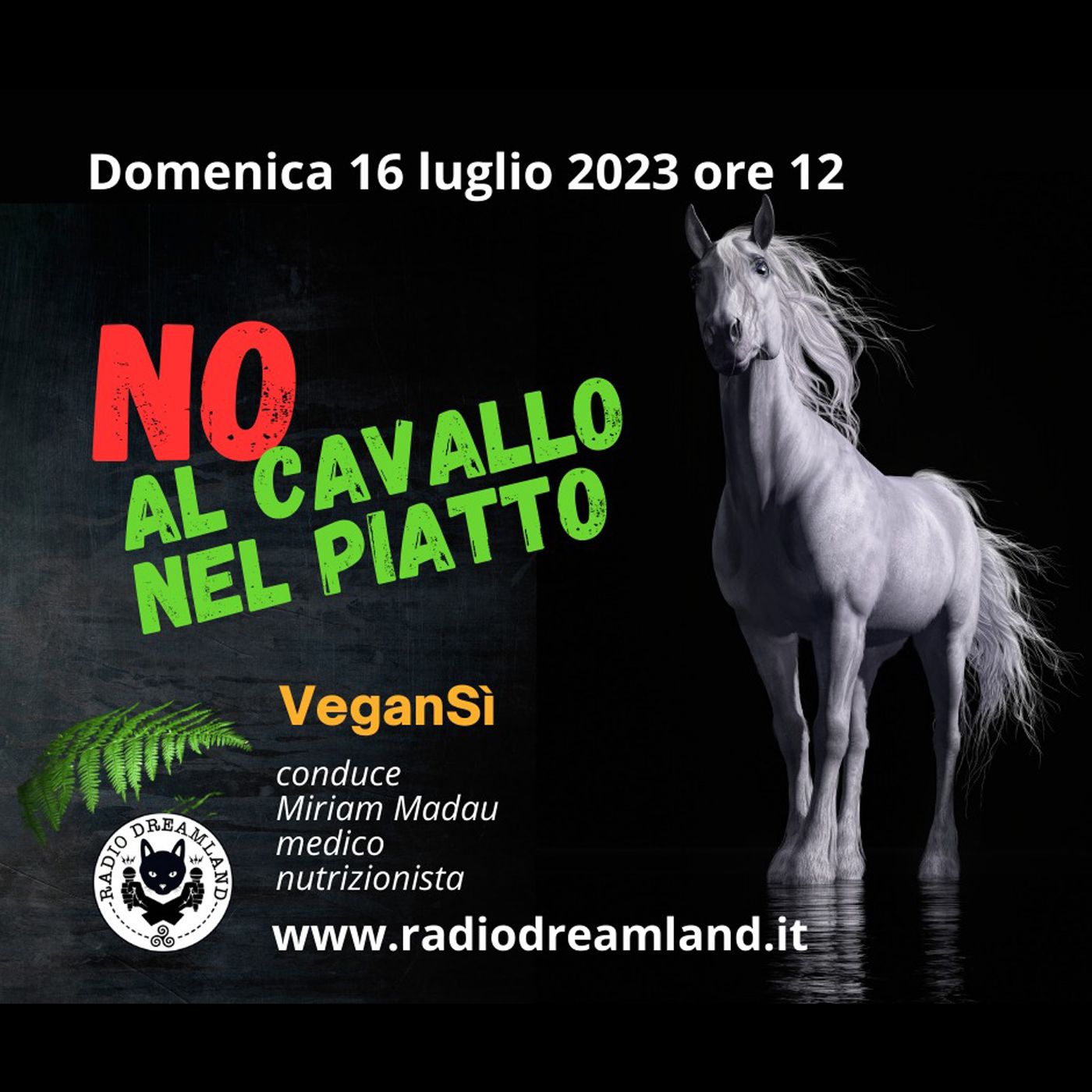 No al cavallo nel piatto episode artwork