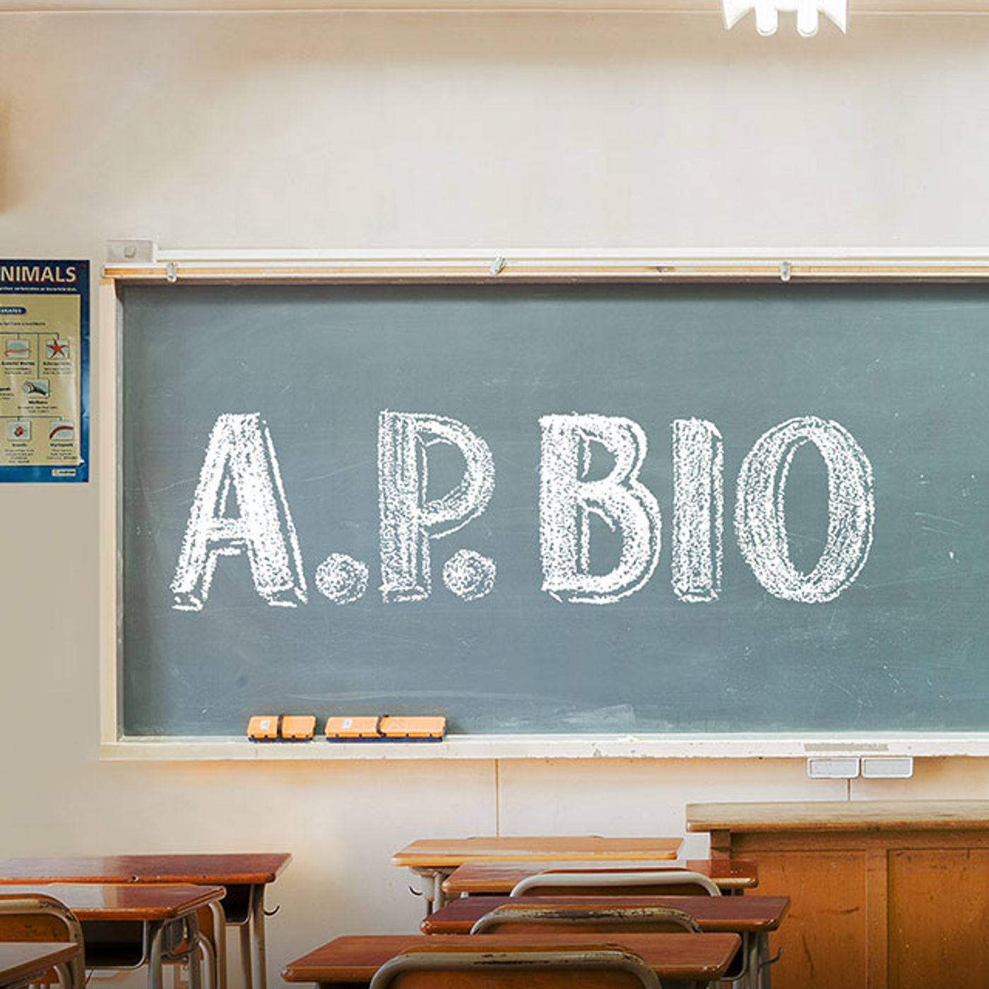 AP Bio Lectures