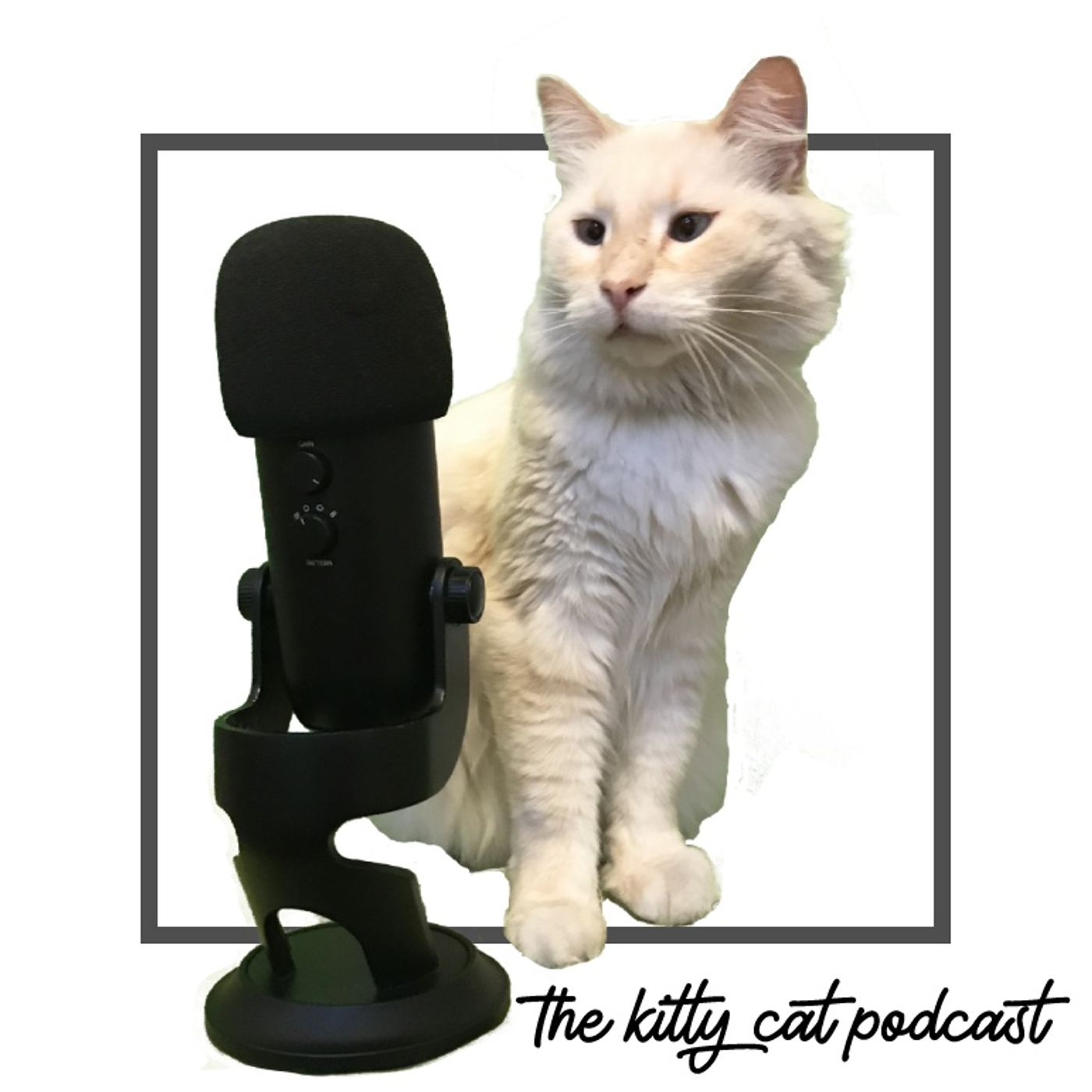 The Kitty Cat Podcast