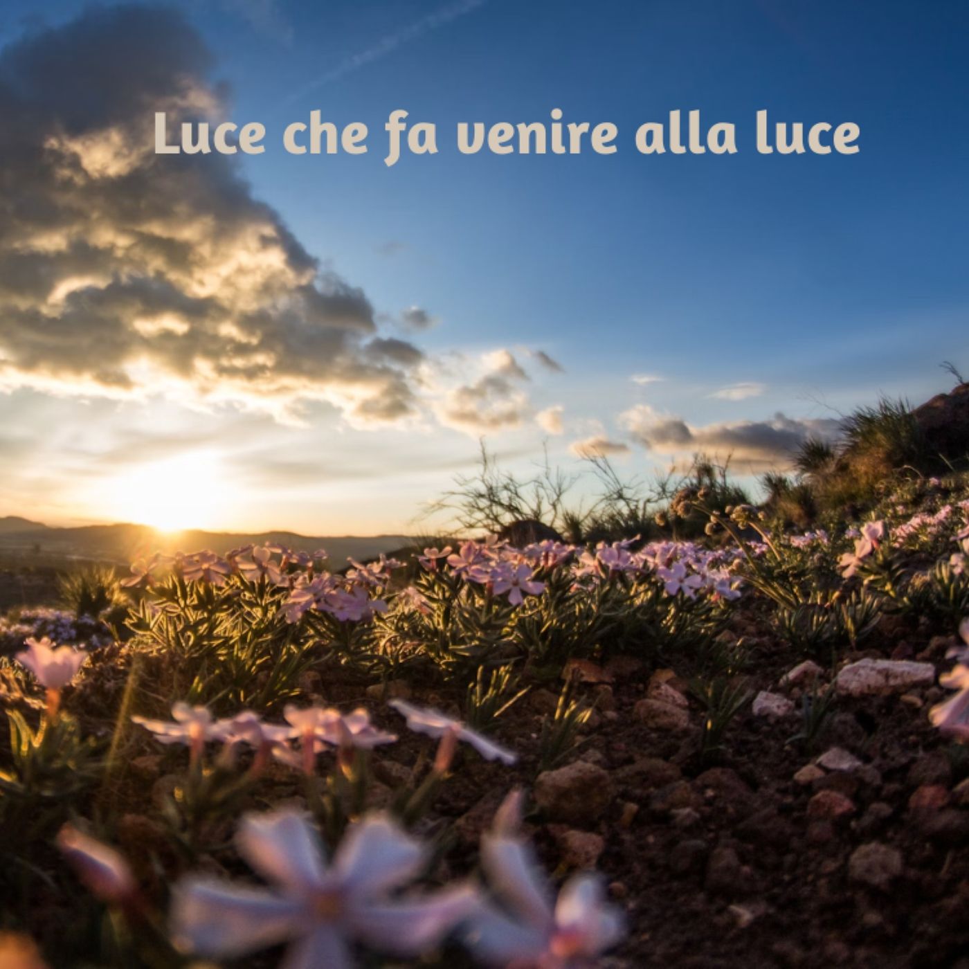 IV Domenica Quaresima episode artwork