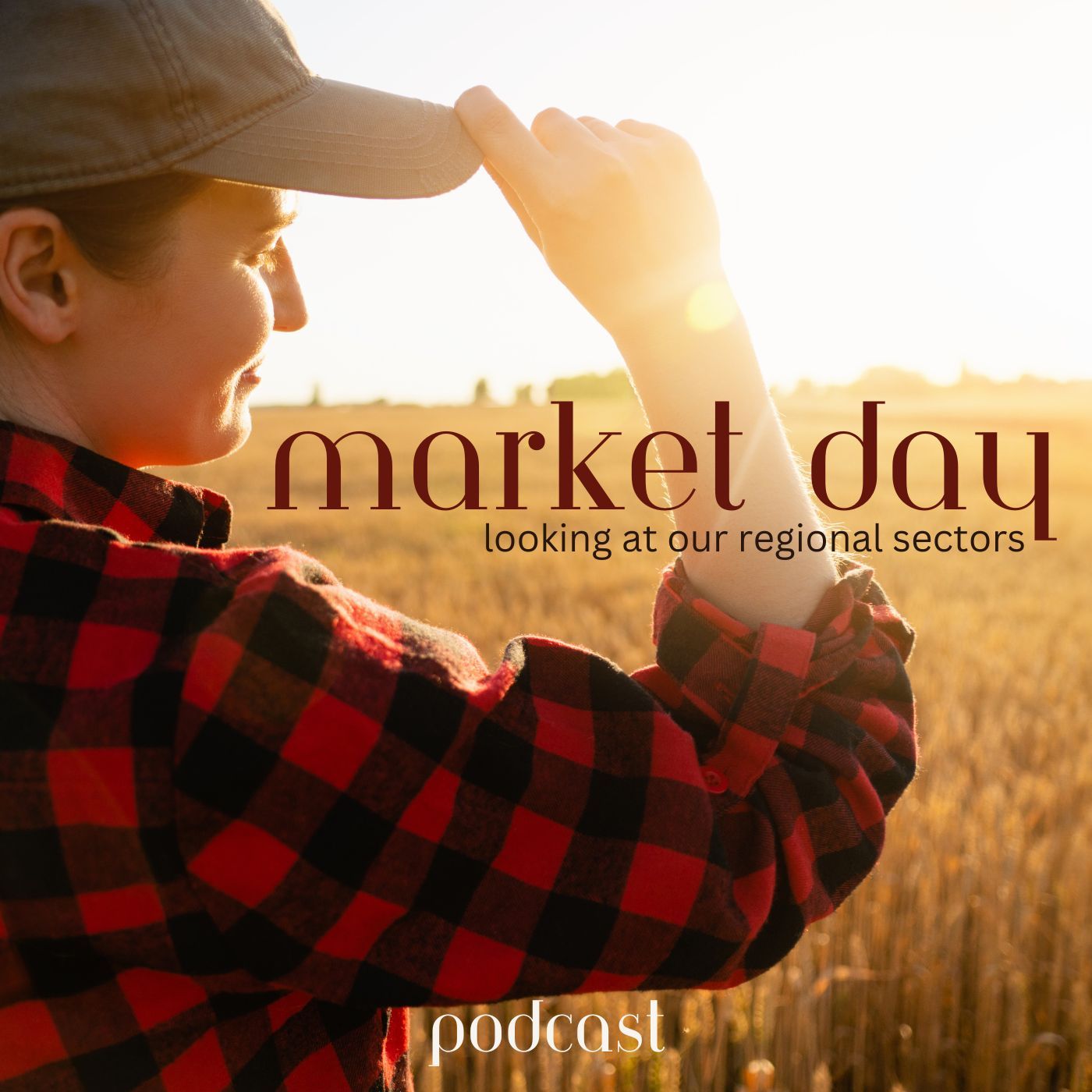 Market Day Highlights