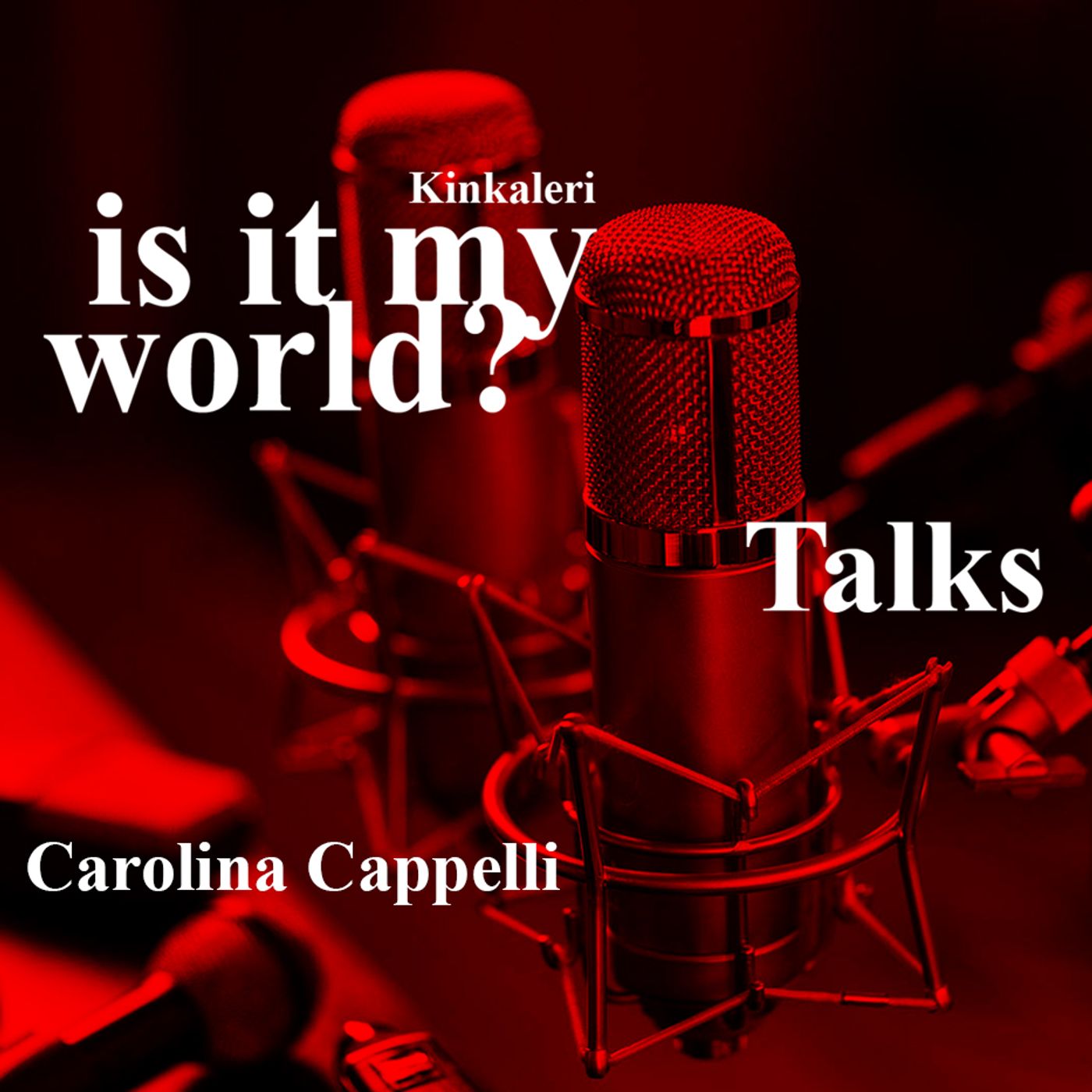 Kinkaleri is it my world?_ Talks