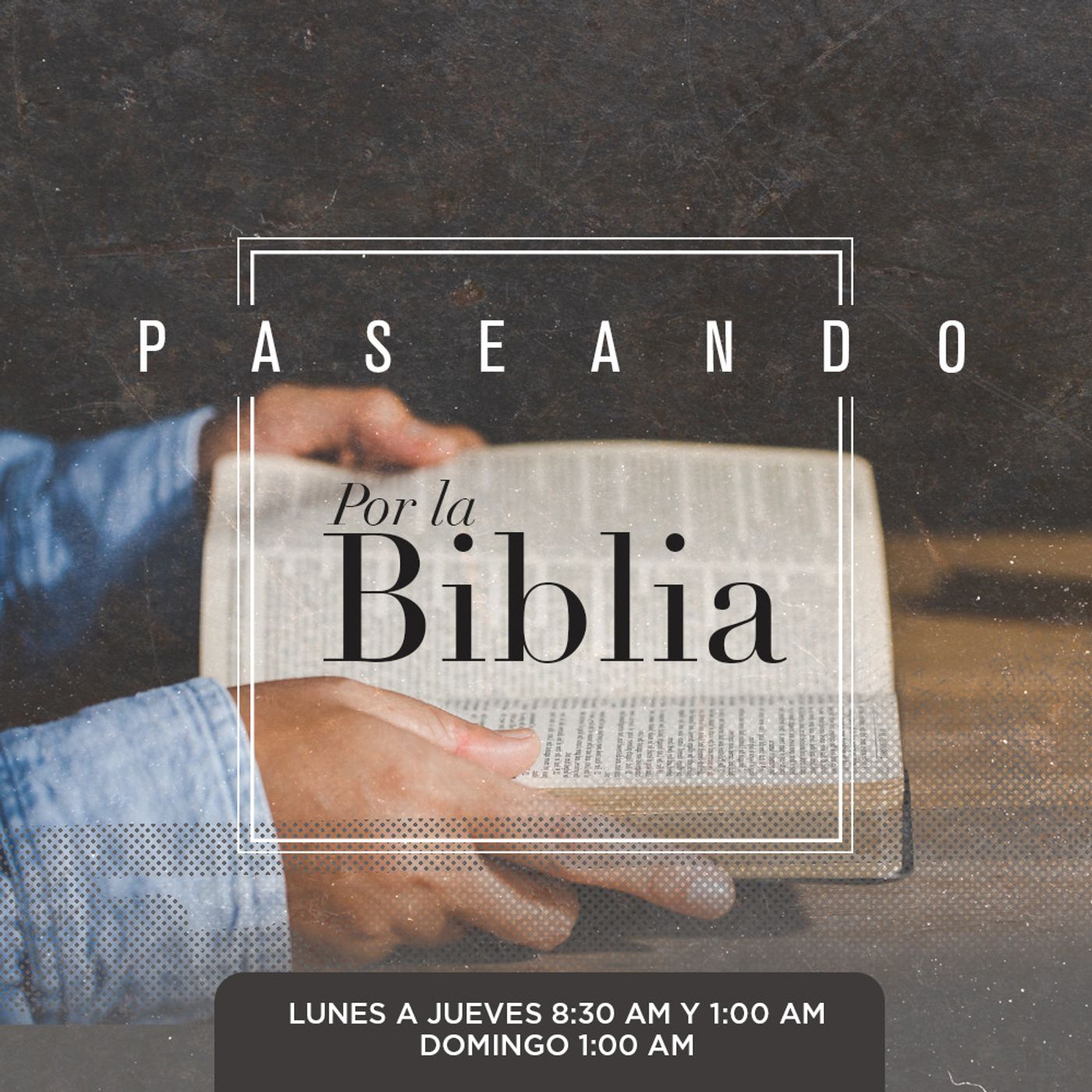 Paseando por la biblia